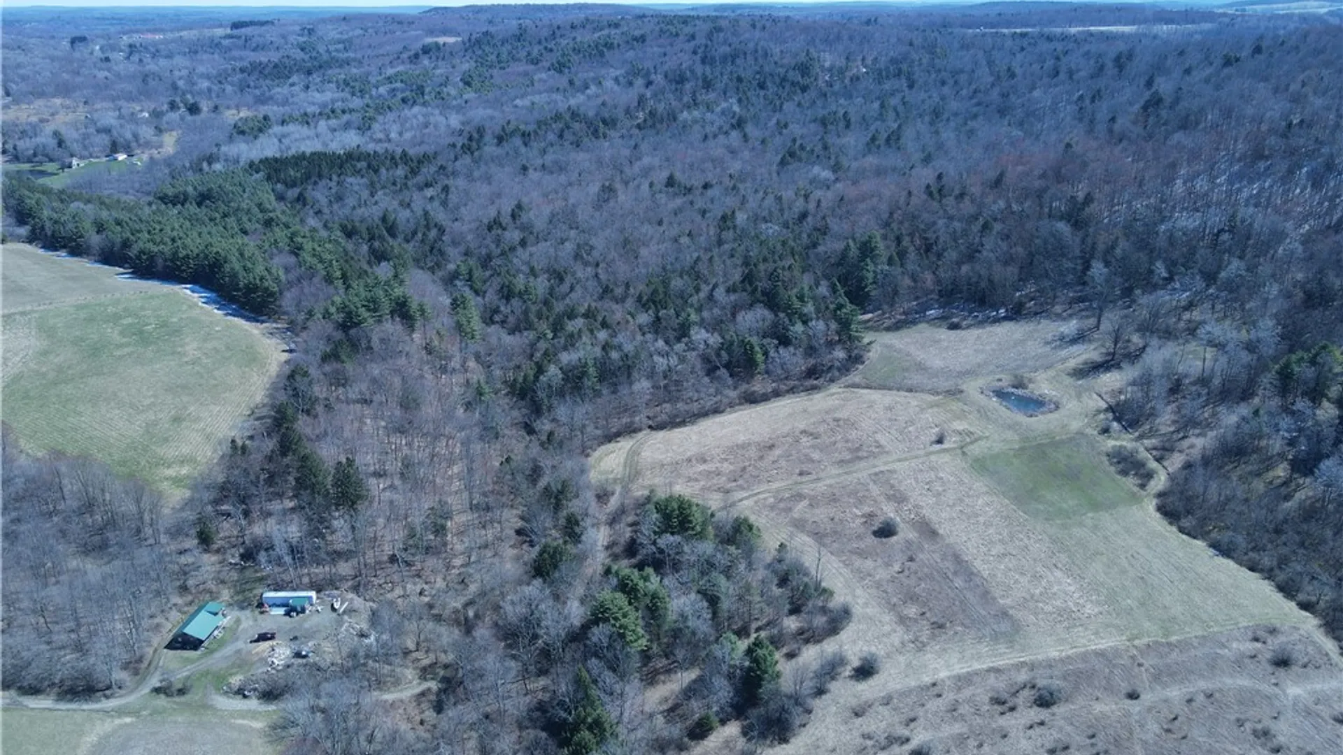 Property at 5156 Carr Road, Willet, NY 13863 33