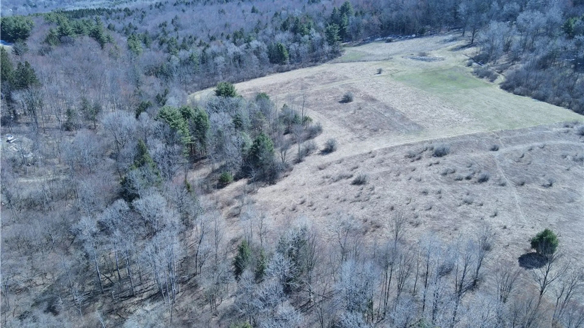 Property at 5156 Carr Road, Willet, NY 13863 35