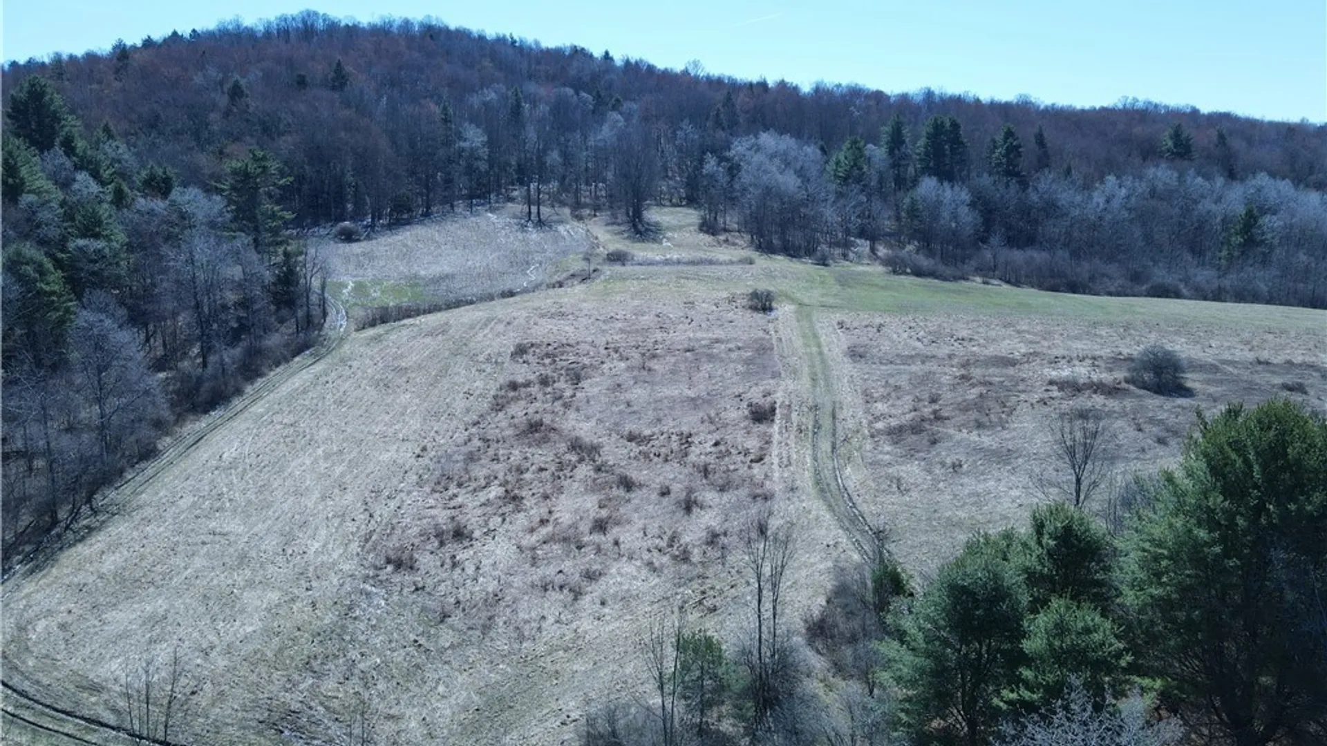 Property at 5156 Carr Road, Willet, NY 13863 36