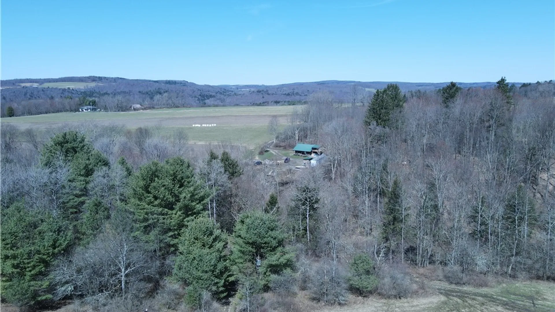 Property at 5156 Carr Road, Willet, NY 13863 37