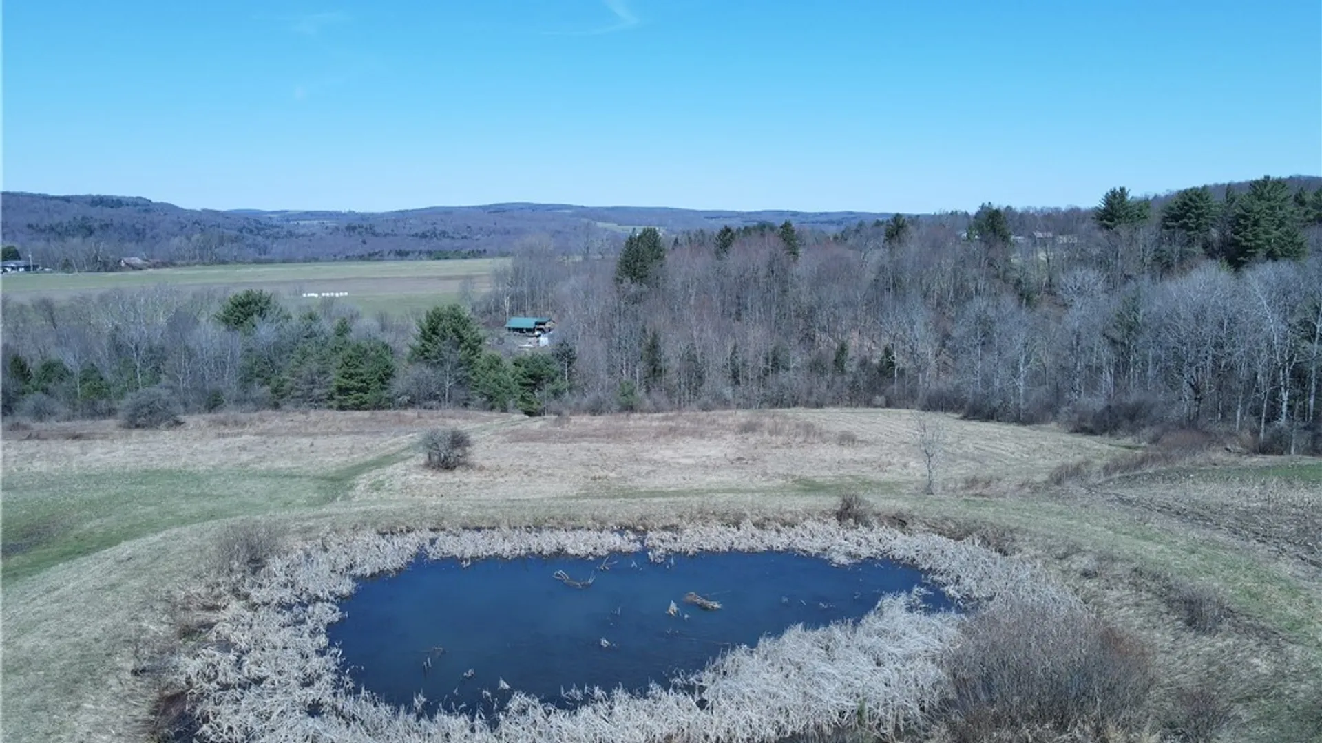 Property at 5156 Carr Road, Willet, NY 13863 38