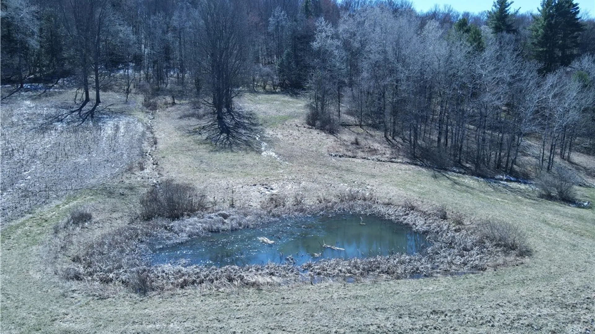 Property at 5156 Carr Road, Willet, NY 13863 39