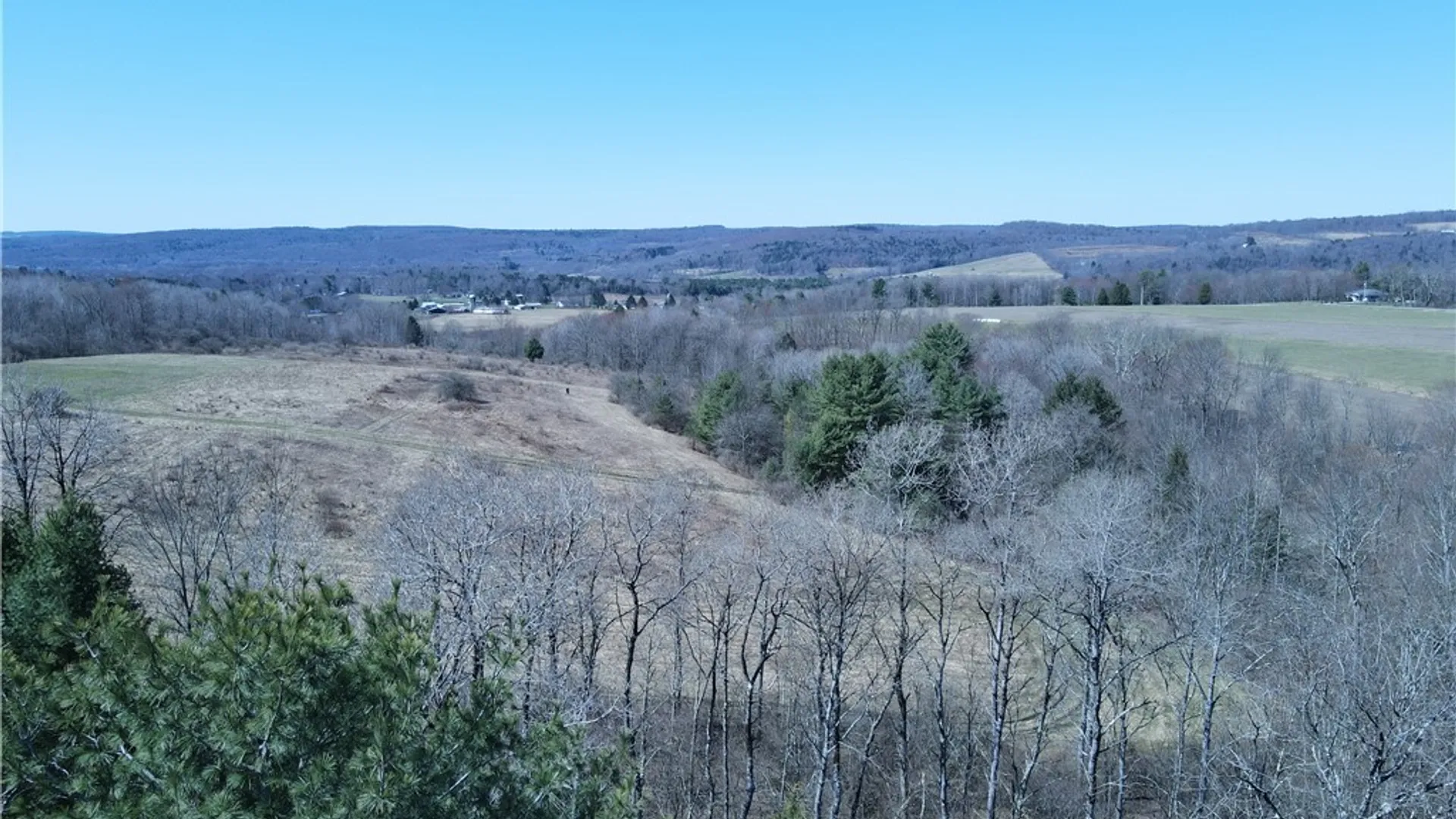 Property at 5156 Carr Road, Willet, NY 13863 40