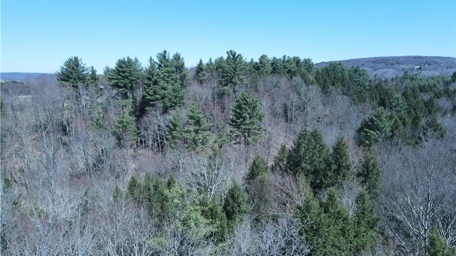 Property at 5156 Carr Road, Willet, NY 13863 41