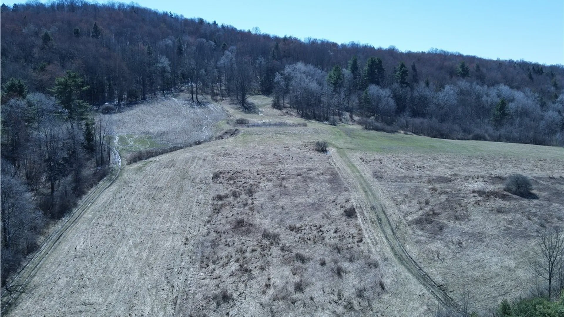 Property at 5156 Carr Road, Willet, NY 13863 42