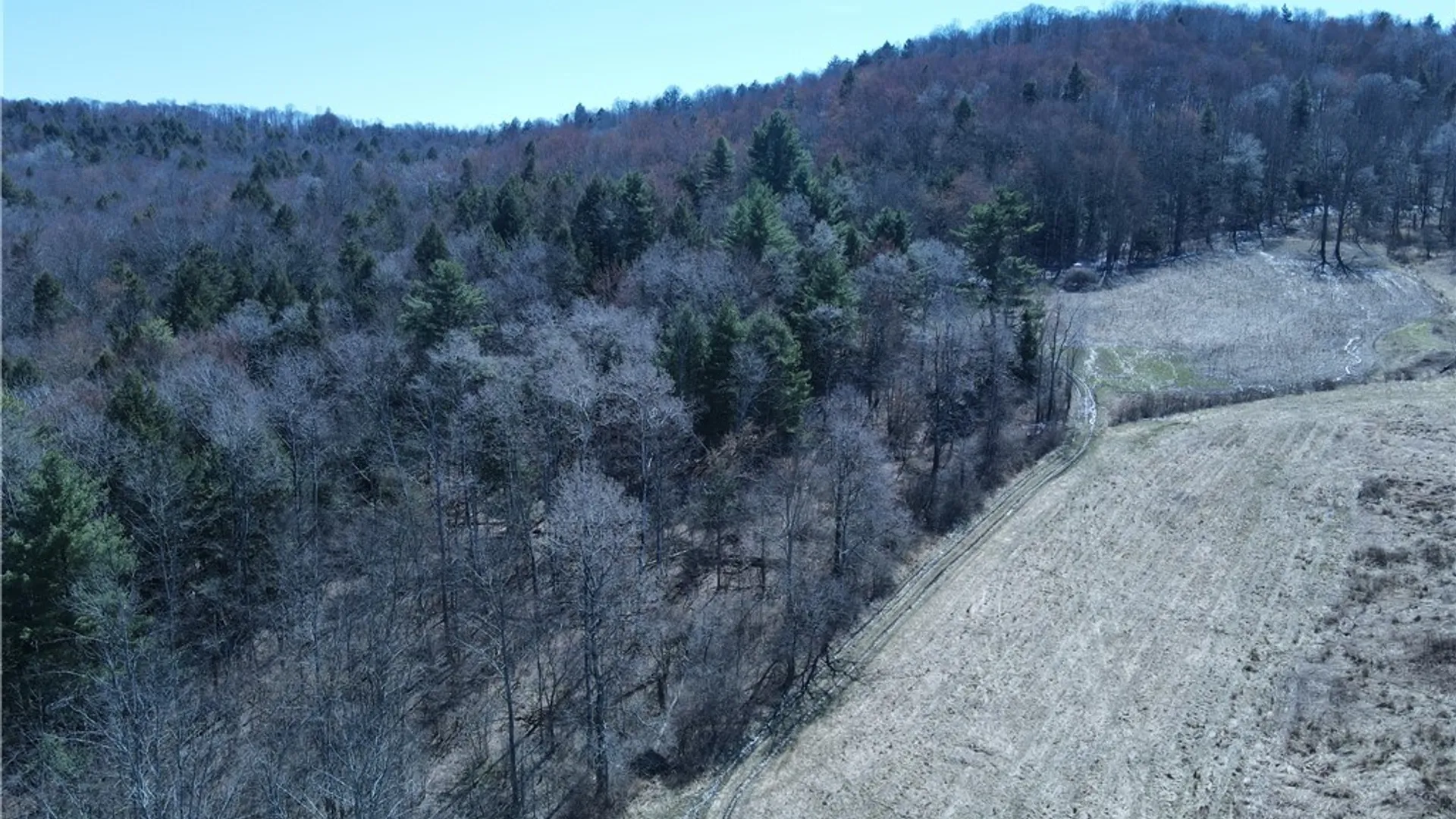 Property at 5156 Carr Road, Willet, NY 13863 43