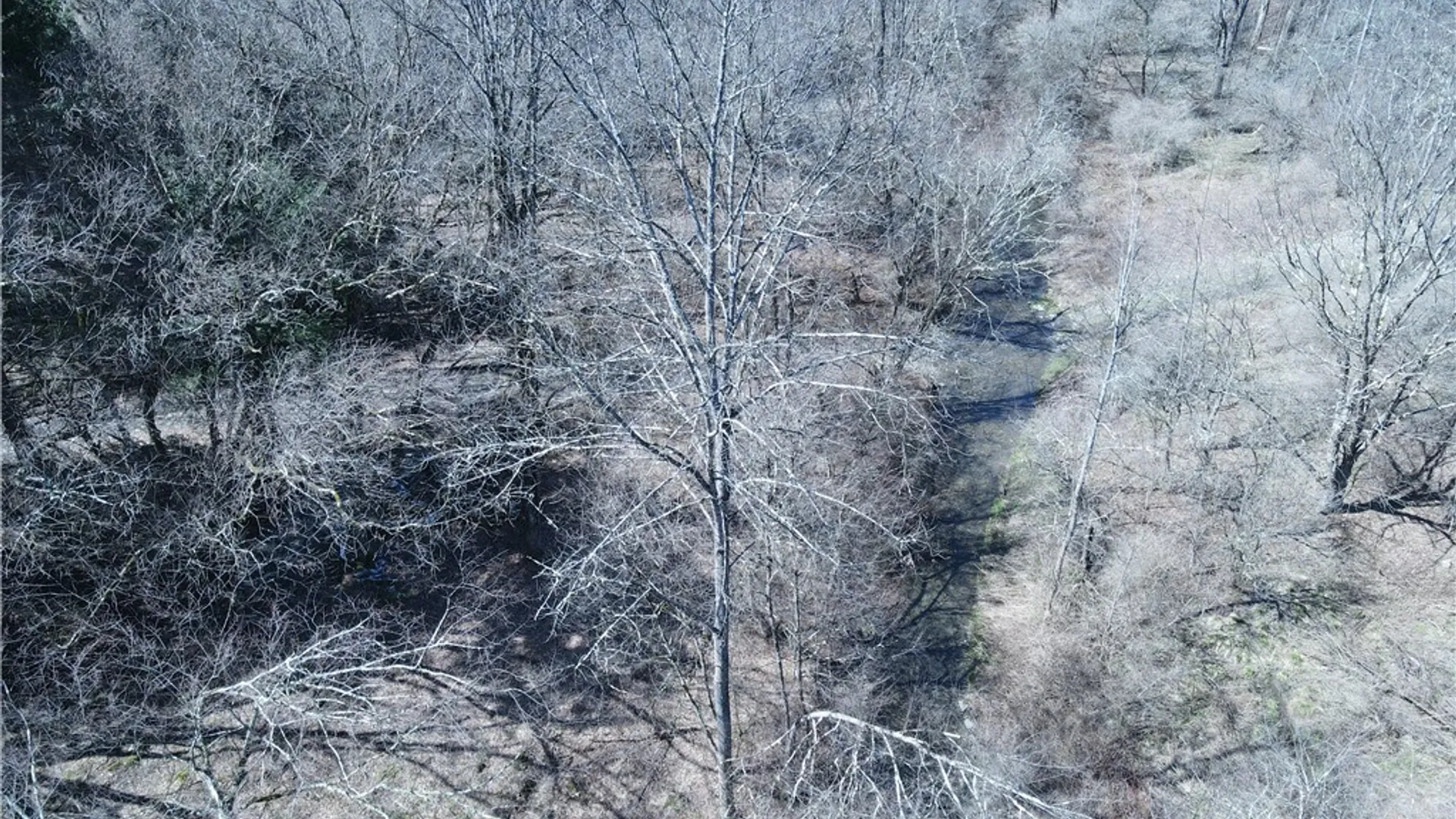 Property at 5156 Carr Road, Willet, NY 13863 44