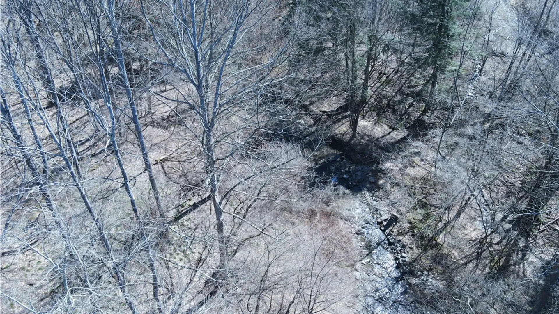 Property at 5156 Carr Road, Willet, NY 13863 45