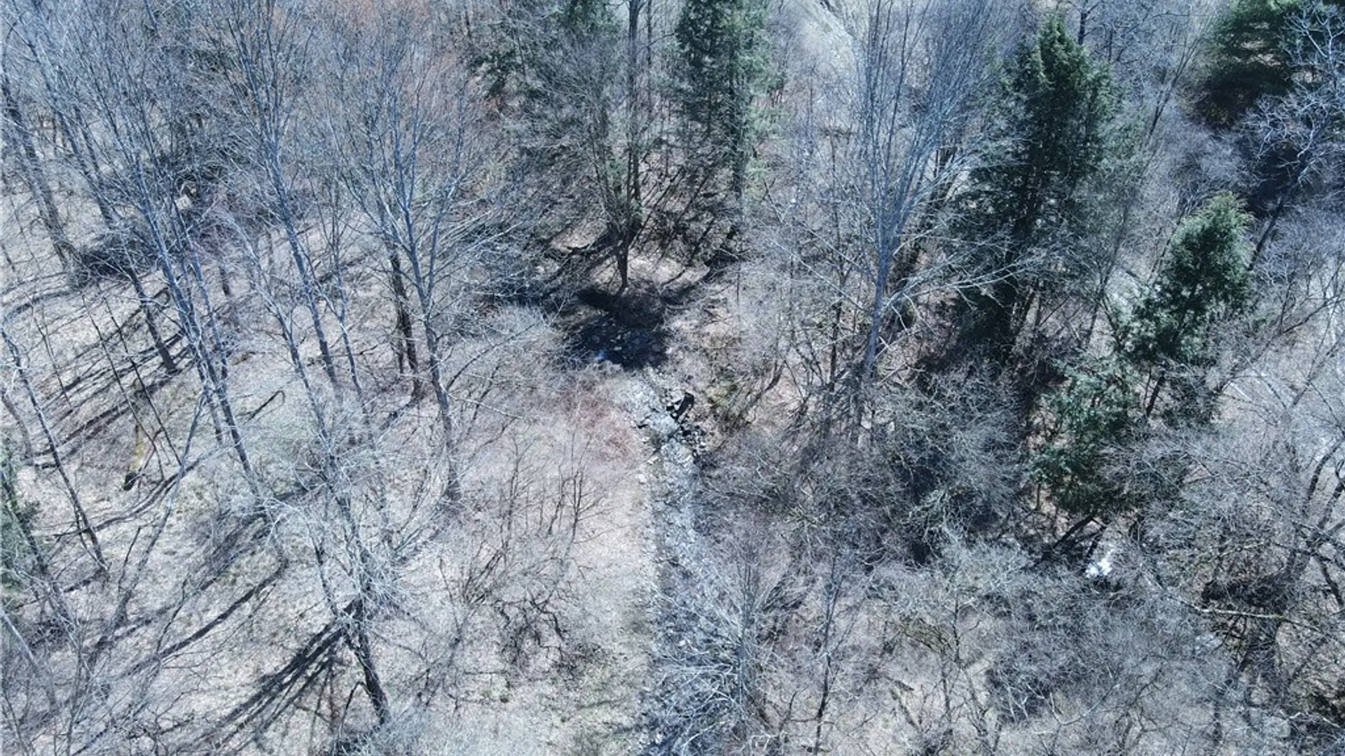 Property at 5156 Carr Road, Willet, NY 13863 46