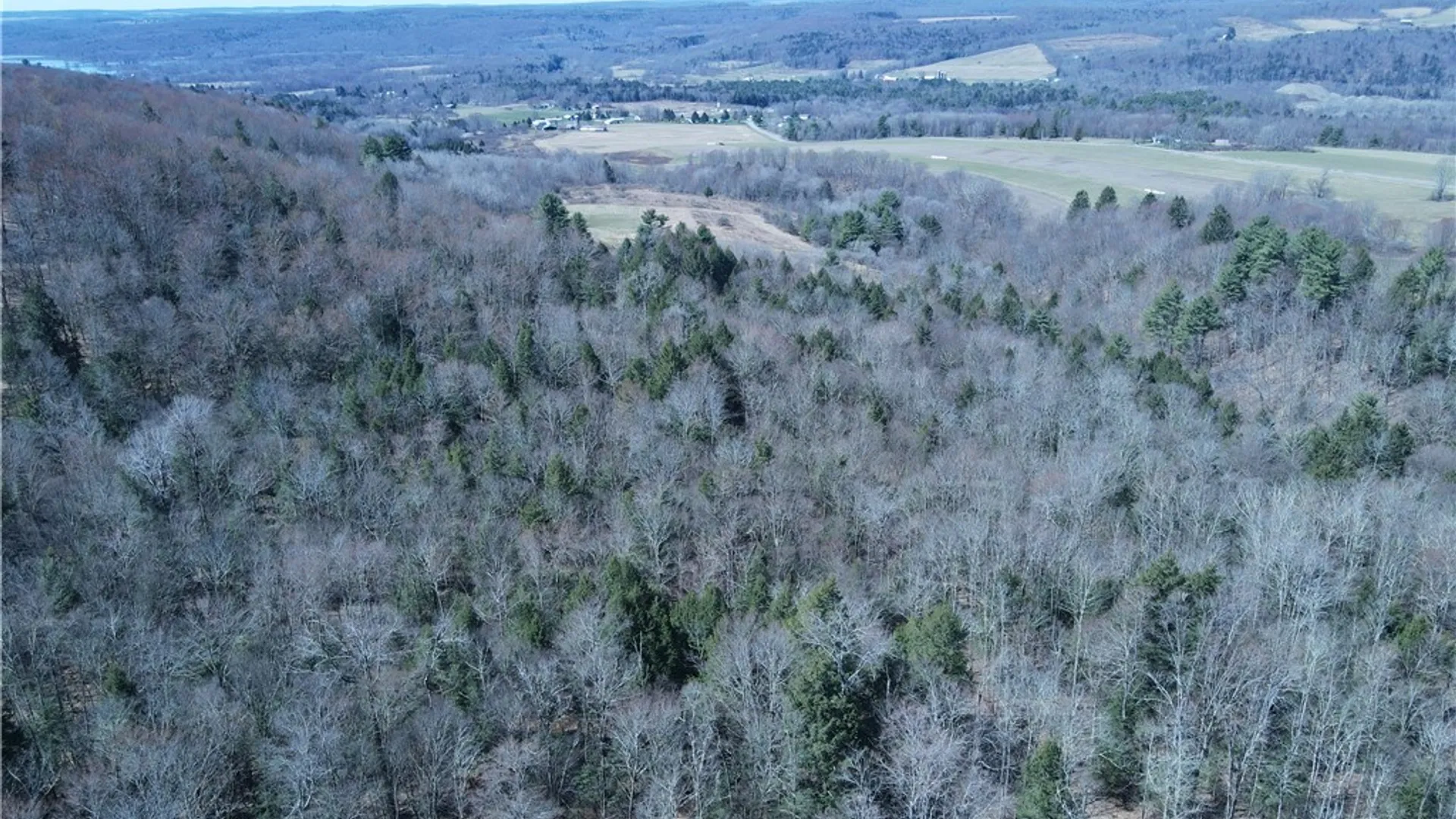 Property at 5156 Carr Road, Willet, NY 13863 47