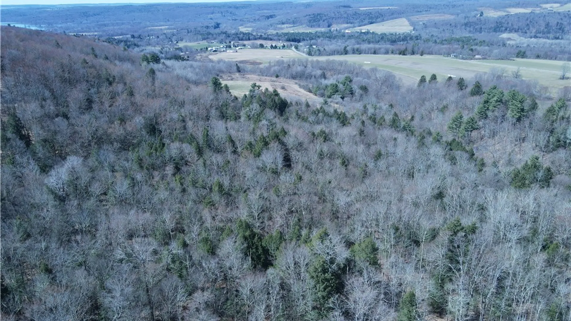 Property at 5156 Carr Road, Willet, NY 13863 48