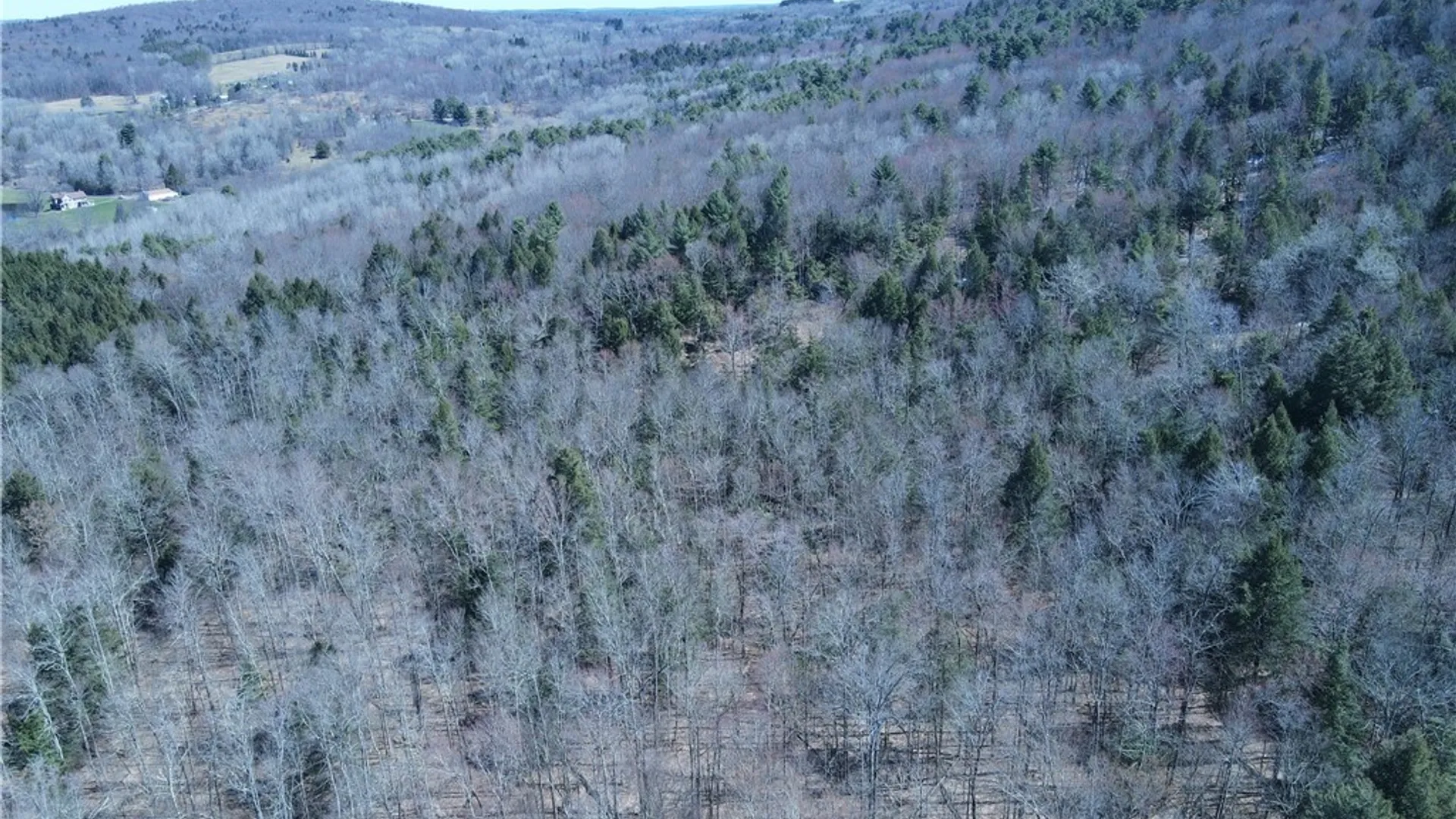 Property at 5156 Carr Road, Willet, NY 13863 49