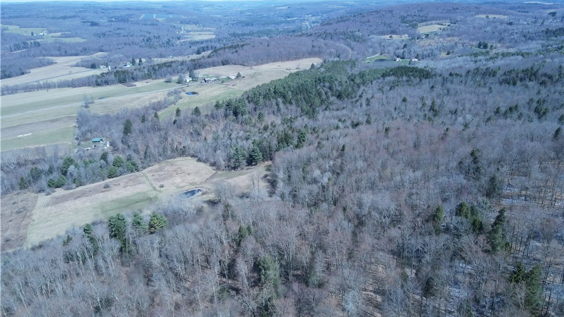 Property at 5156 Carr Road, Willet, NY 13863 50