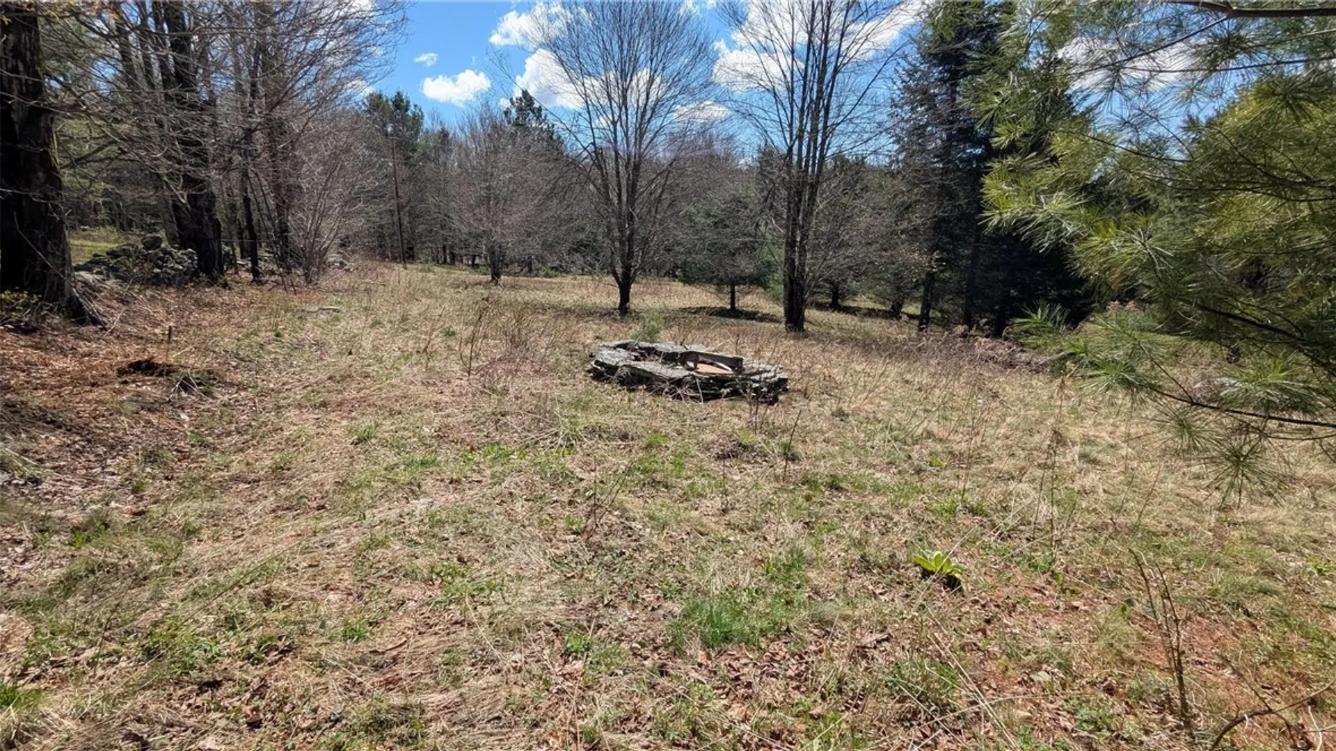 Property at 156 Akita Road, Jefferson, NY 12093 11