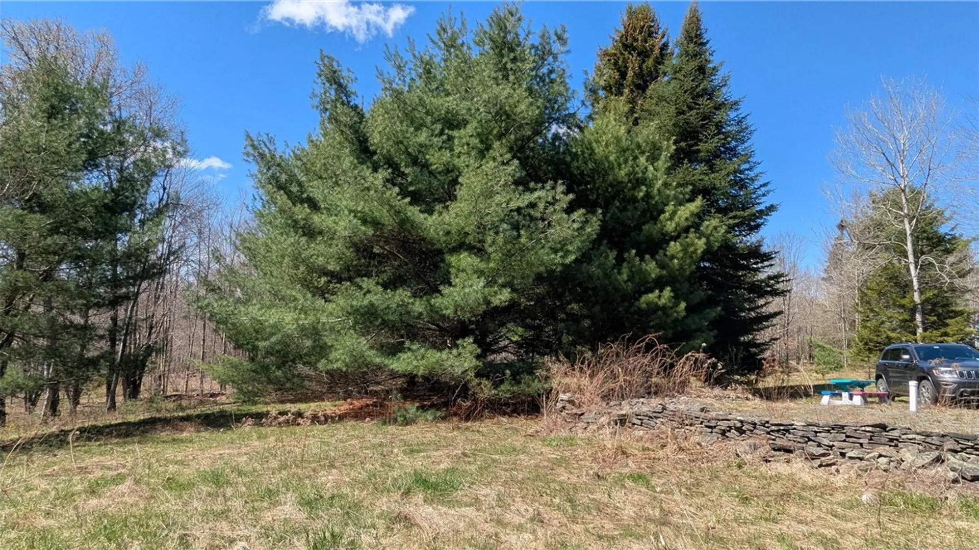 Property at 156 Akita Road, Jefferson, NY 12093 12