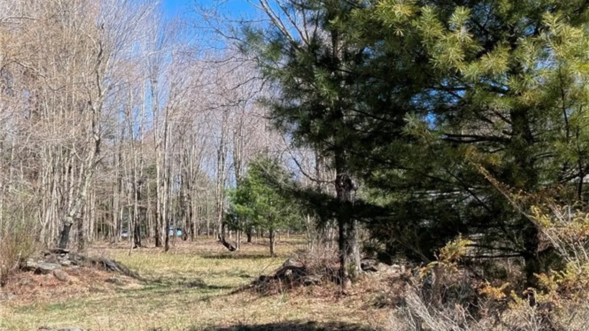 Property at 156 Akita Road, Jefferson, NY 12093 13