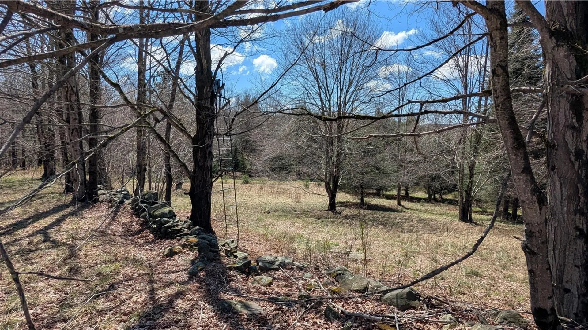 Property at 156 Akita Road, Jefferson, NY 12093 14