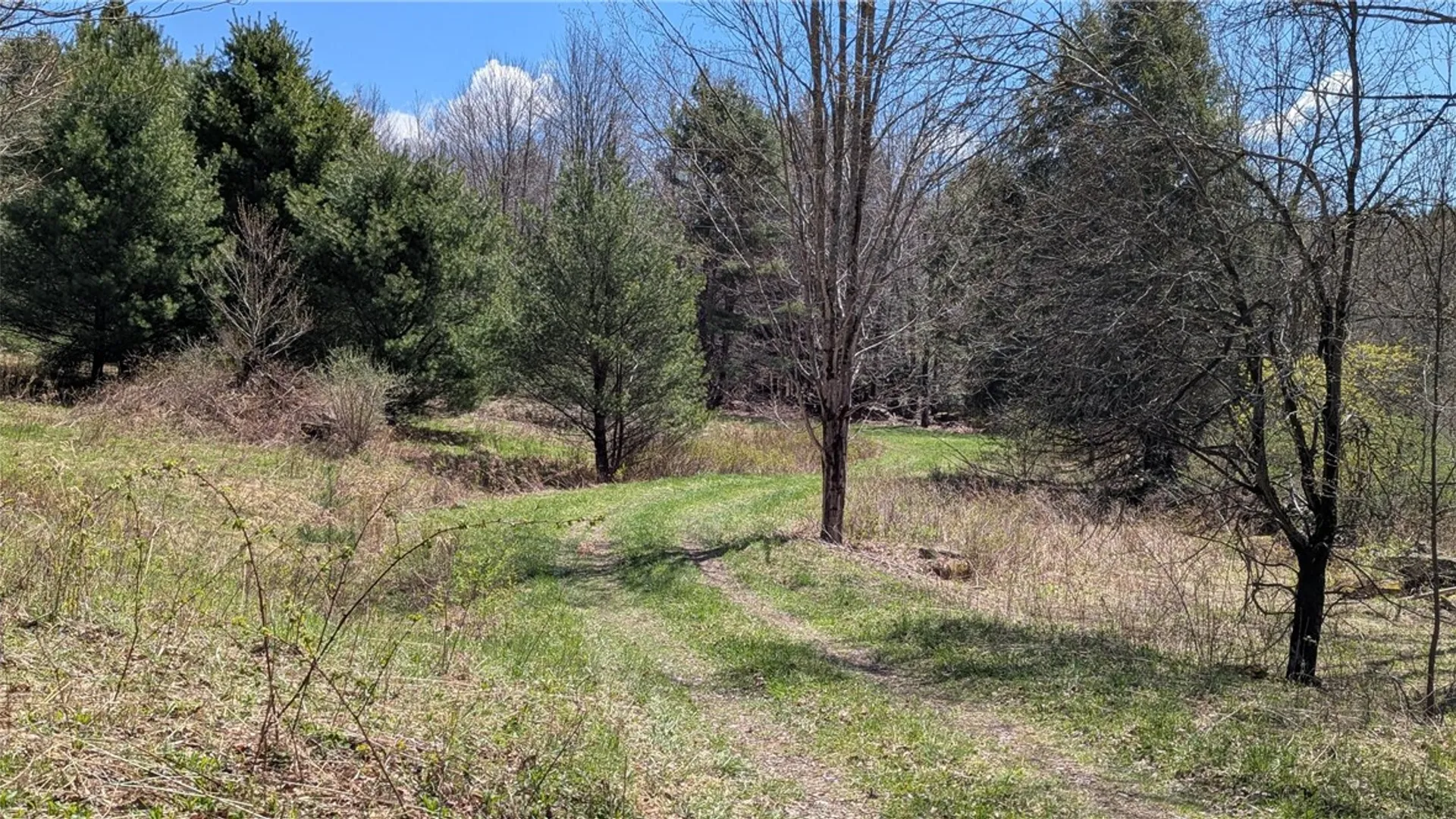 Property at 156 Akita Road, Jefferson, NY 12093 16