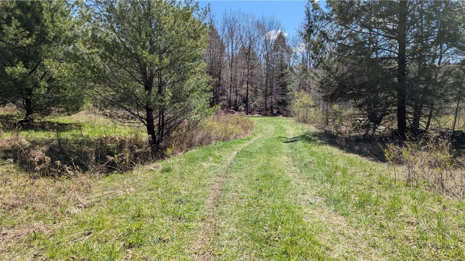 Property at 156 Akita Road, Jefferson, NY 12093 17