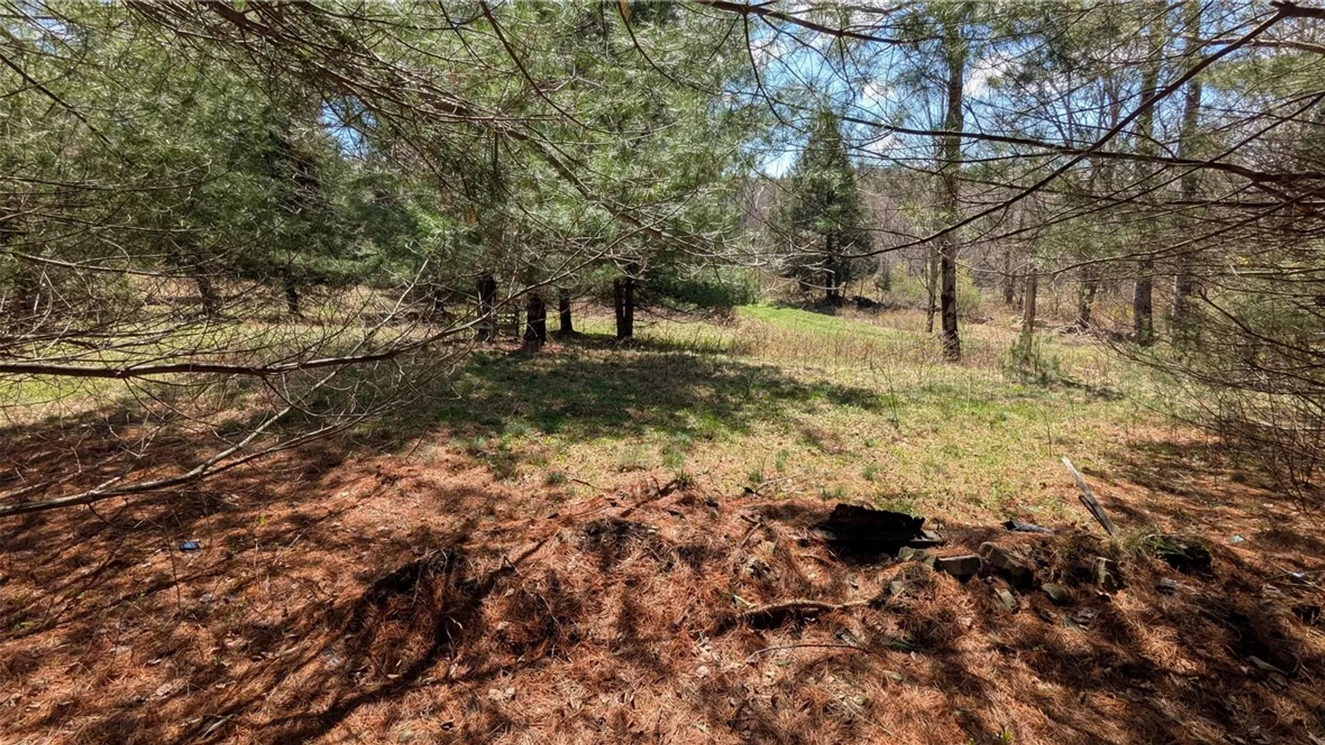 Property at 156 Akita Road, Jefferson, NY 12093 9