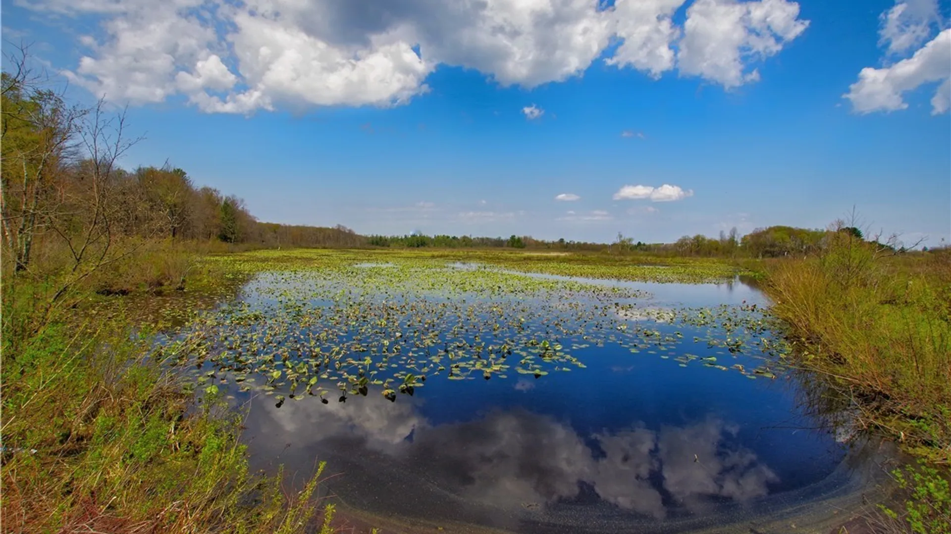 Property at 876 Swede Road, Harmony, NY 14767 14