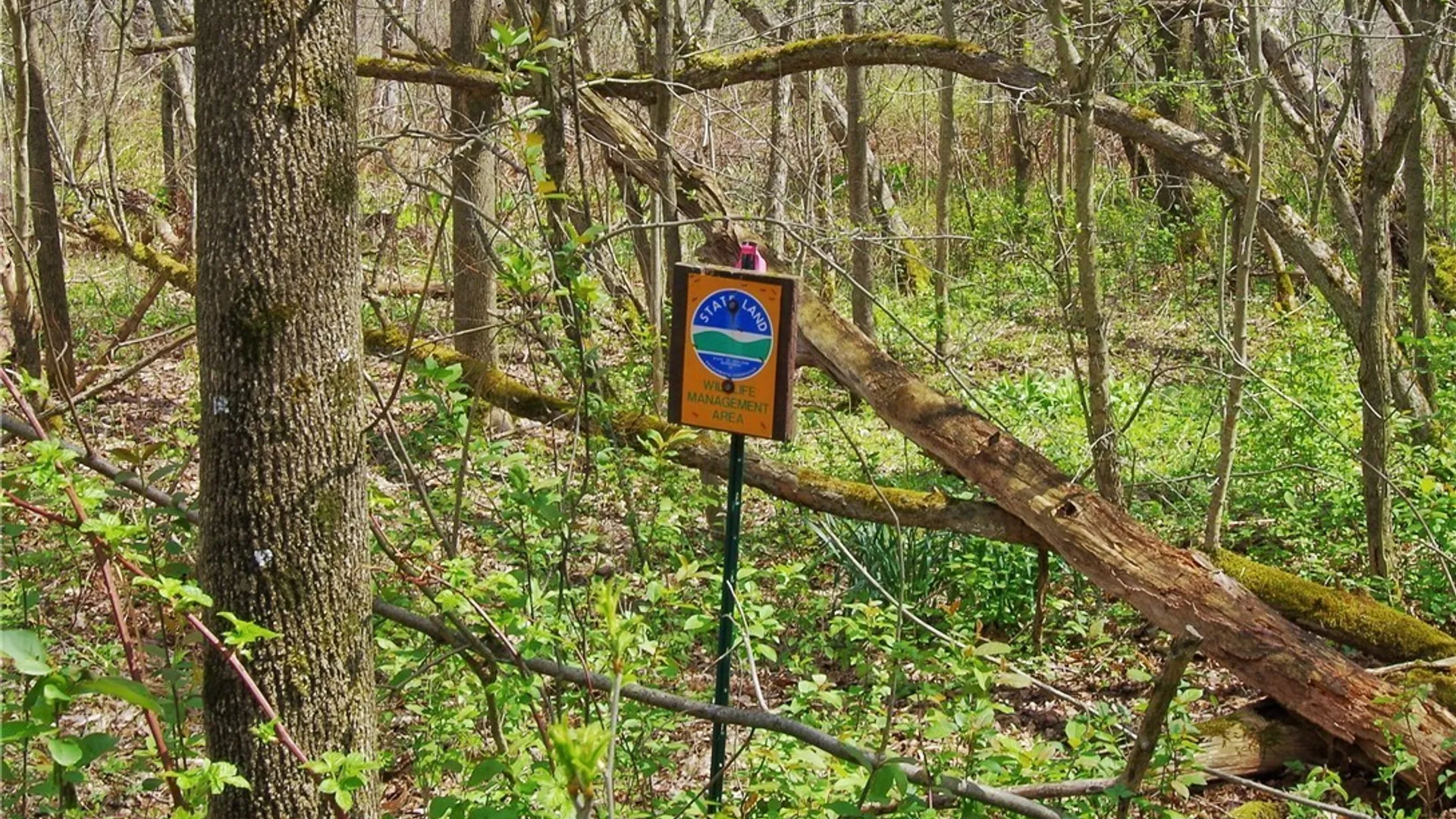 Property at 876 Swede Road, Harmony, NY 14767 2