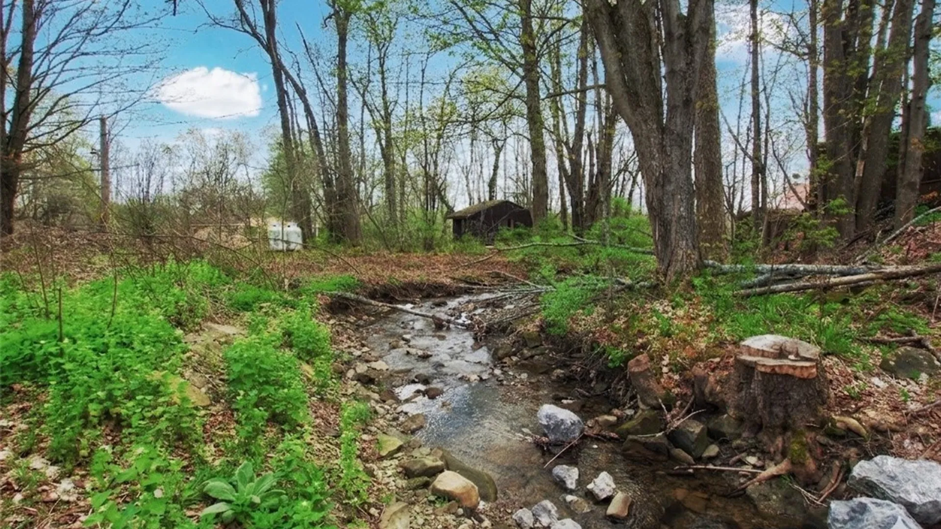 Property at 876 Swede Road, Harmony, NY 14767 6