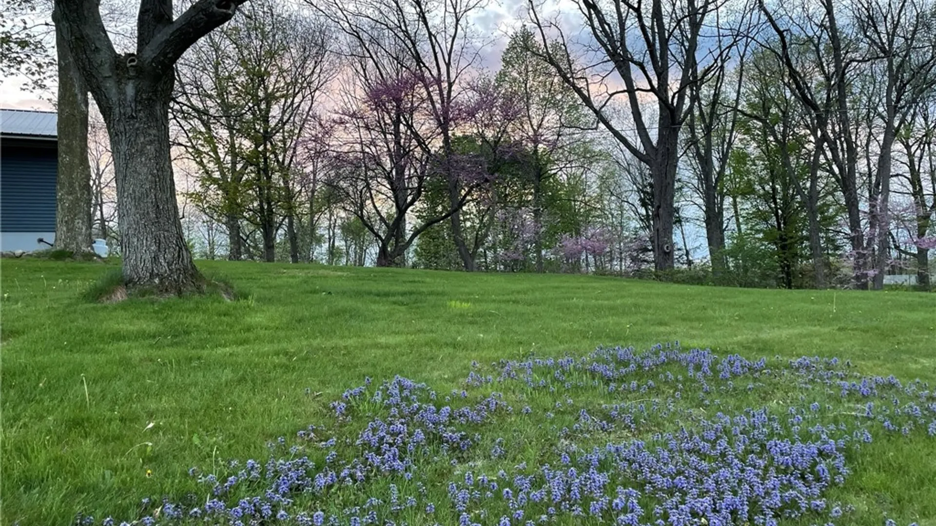 Property at 8384 Powell Road, Covert, NY 14847 38