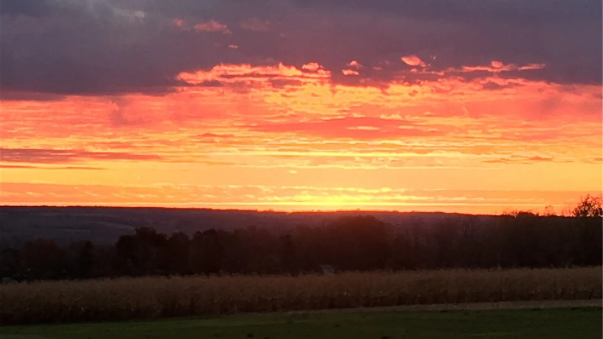 Property at 8384 Powell Road, Covert, NY 14847 39