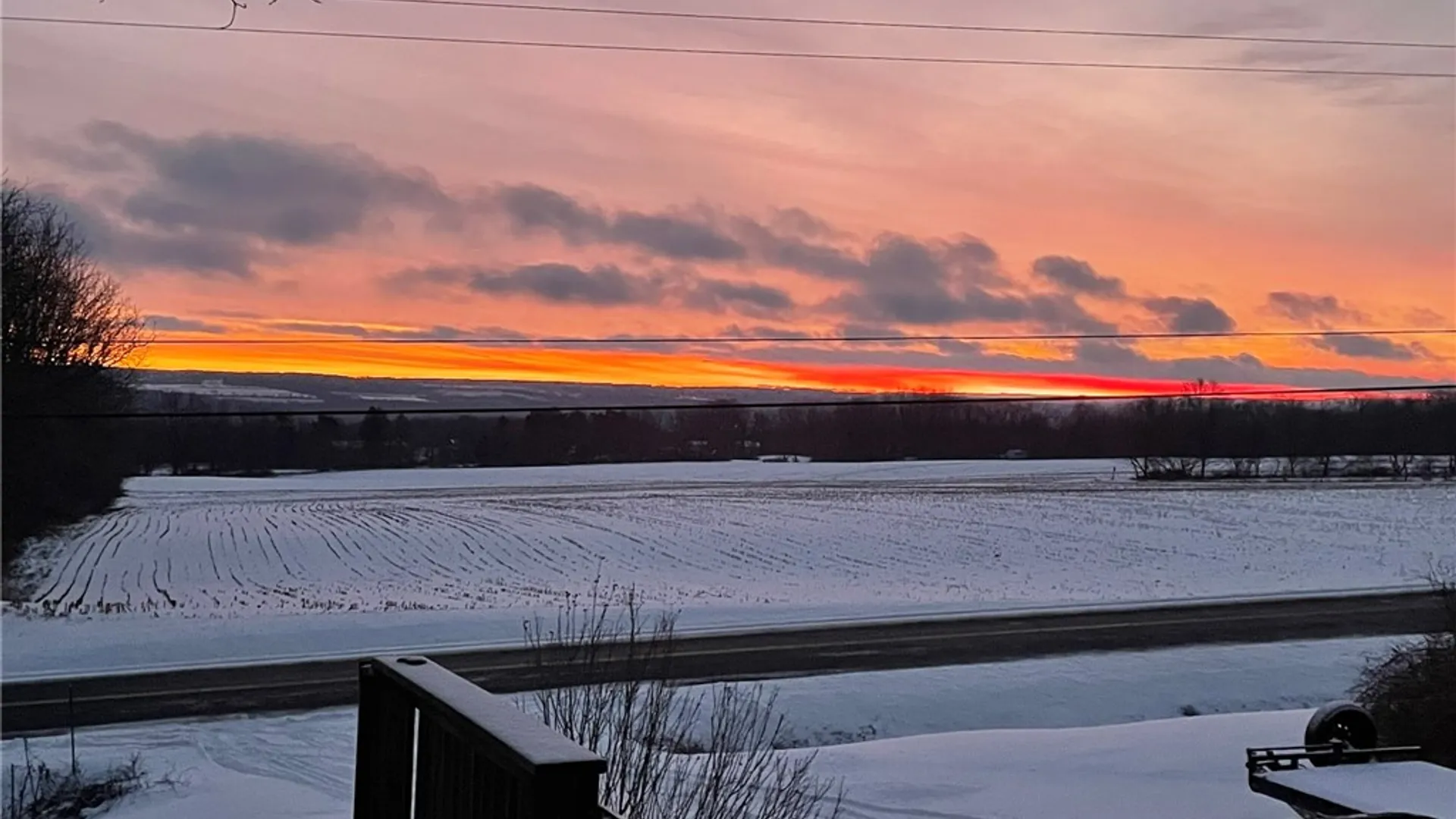 Property at 8384 Powell Road, Covert, NY 14847 41