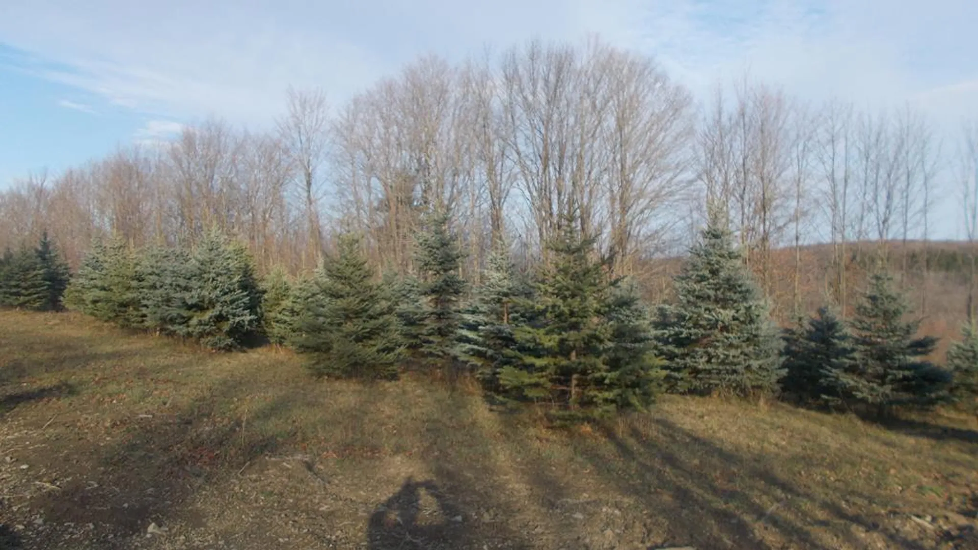 Property at 1318 Chambers Road, Catlin, NY 14812 10