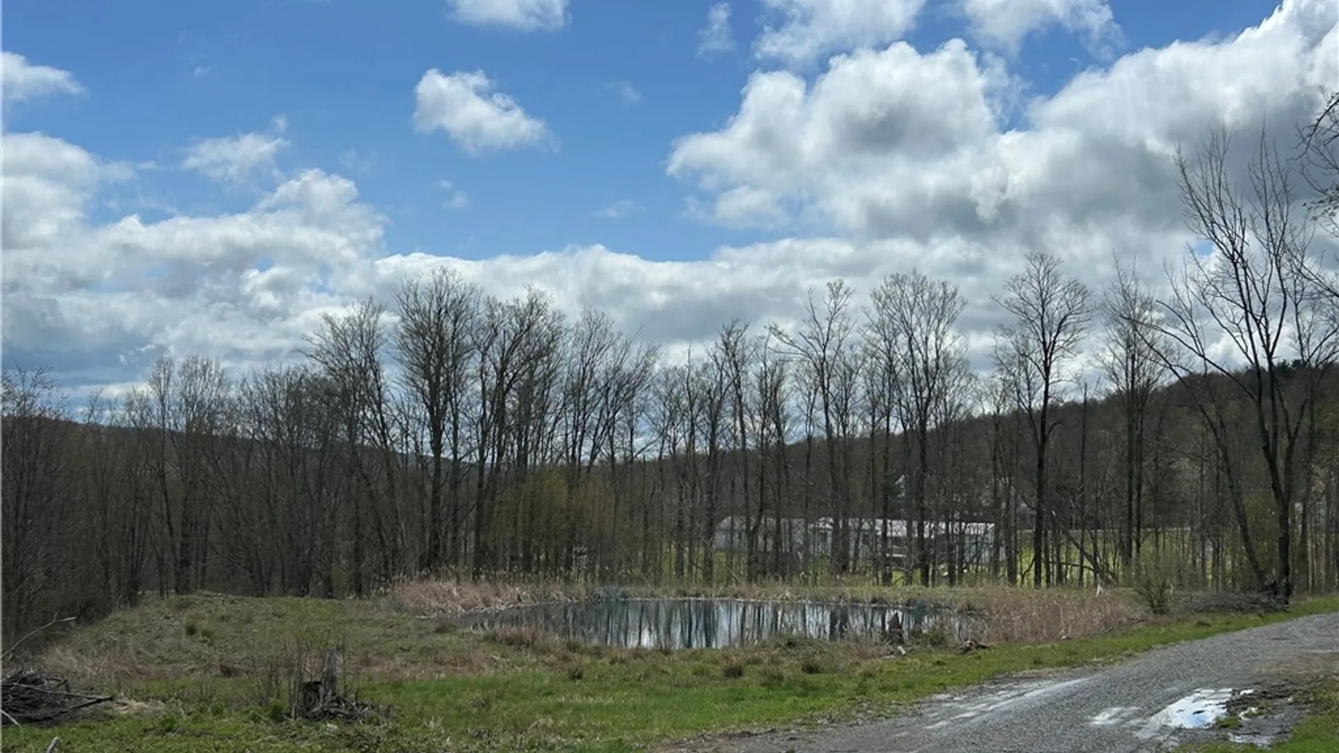 Property at 1318 Chambers Road, Catlin, NY 14812 13