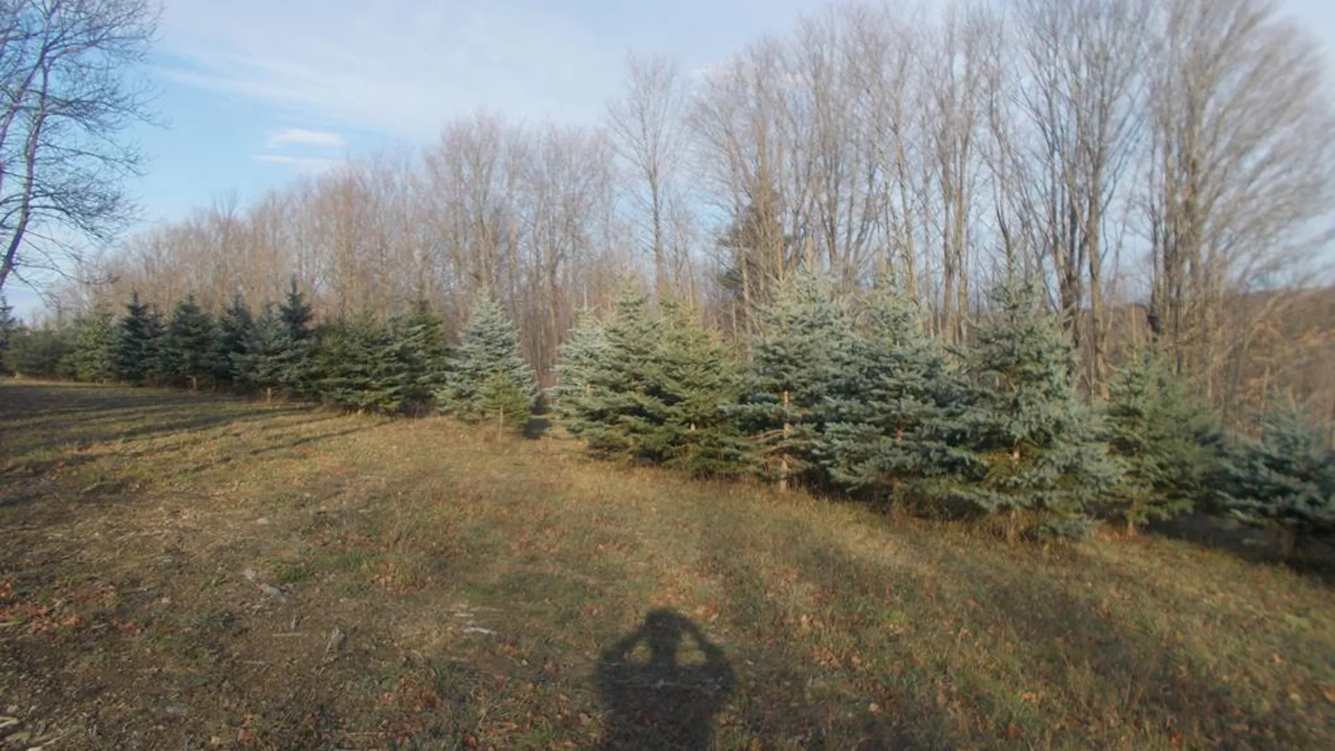 Property at 1318 Chambers Road, Catlin, NY 14812 14