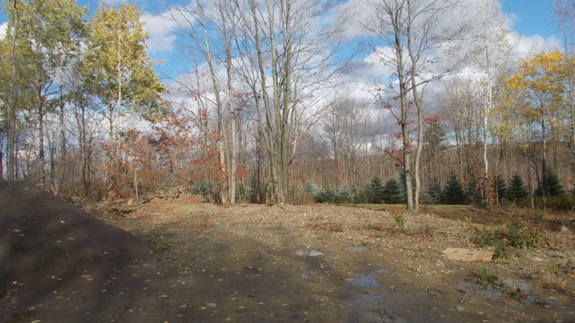 Property at 1318 Chambers Road, Catlin, NY 14812 6