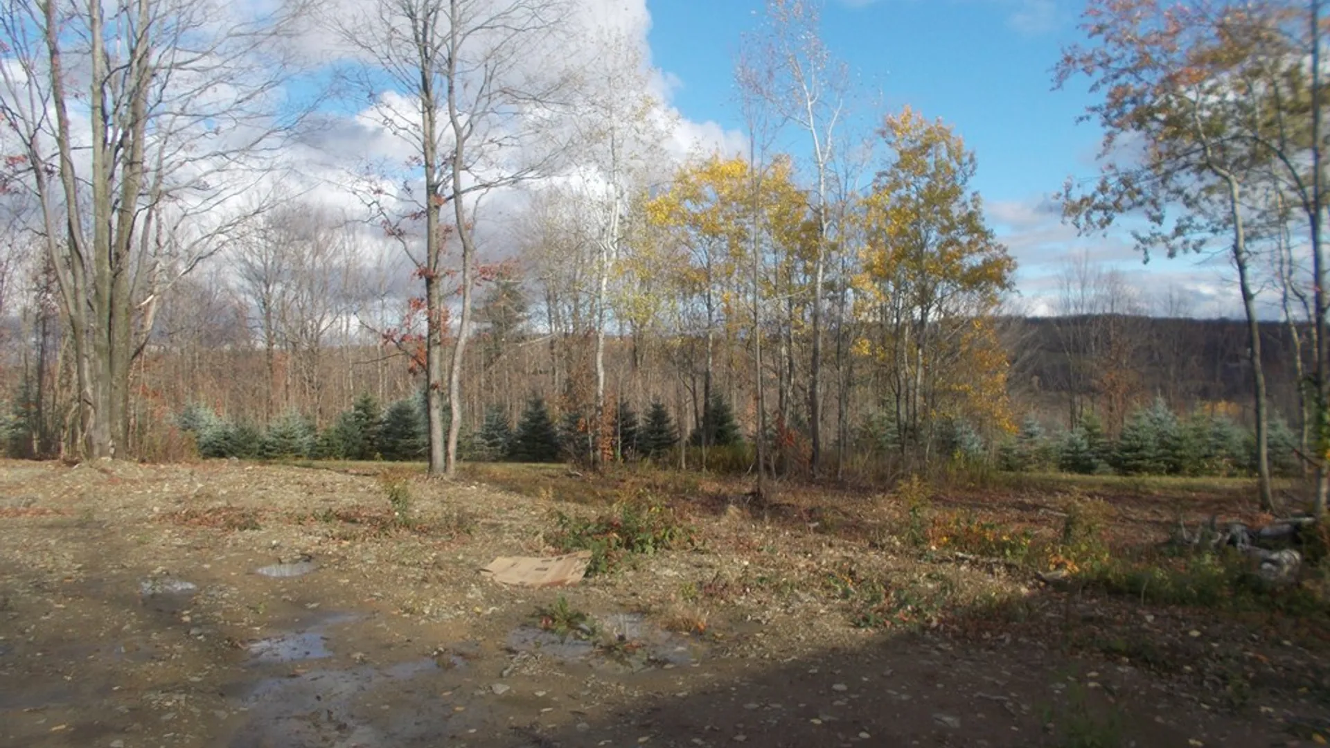 Property at 1318 Chambers Road, Catlin, NY 14812 7