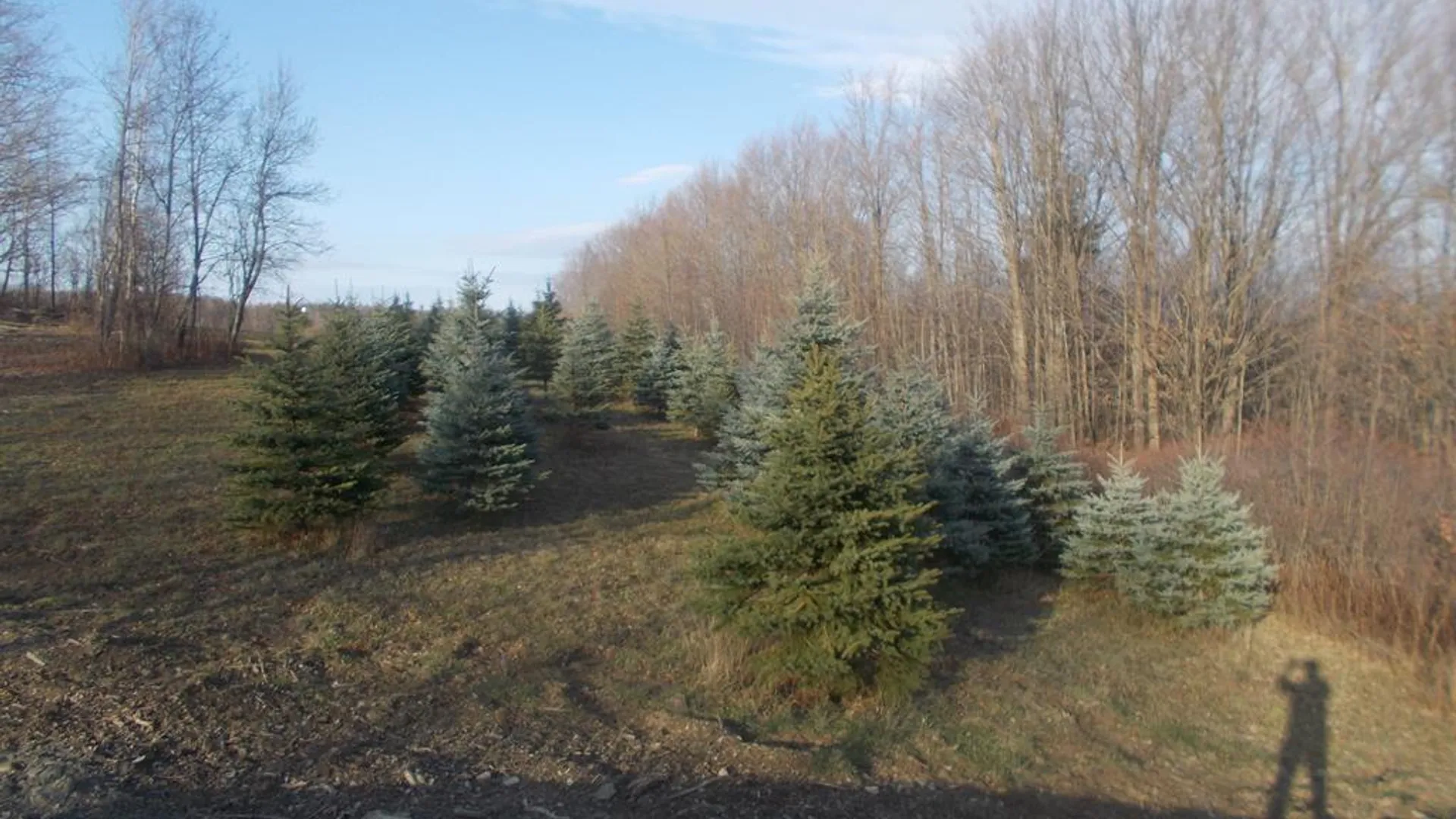 Property at 1318 Chambers Road, Catlin, NY 14812 9