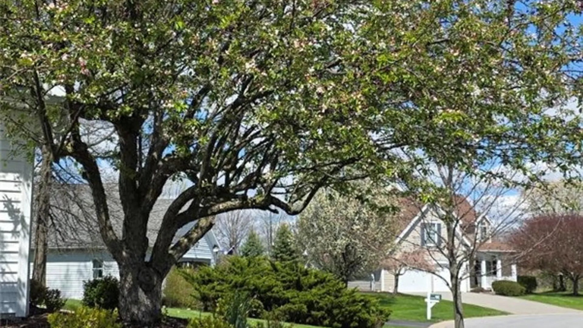 Property at 4928 Bramblewood, Canandaigua Town, NY 14424 13