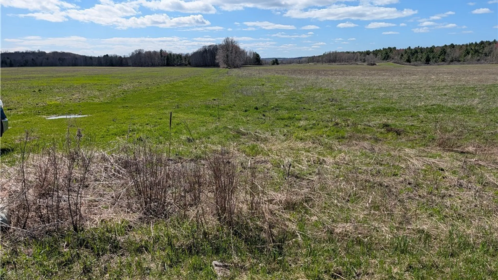 Property at Bald Rock Road, Clayton, NY 13624 3