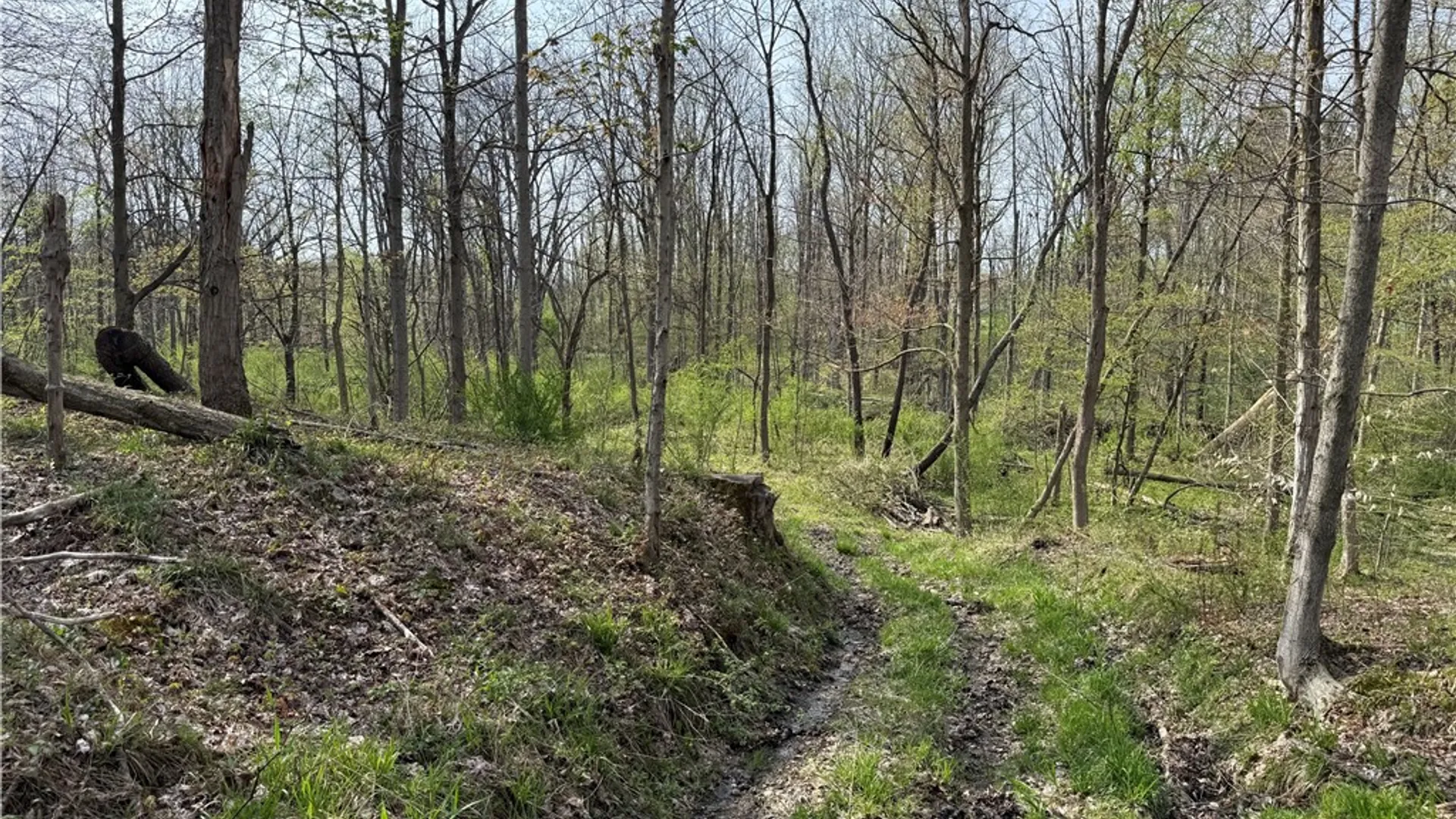 Property at 14245 Collin Ctr Zoar Road, Collins, NY 14034 11