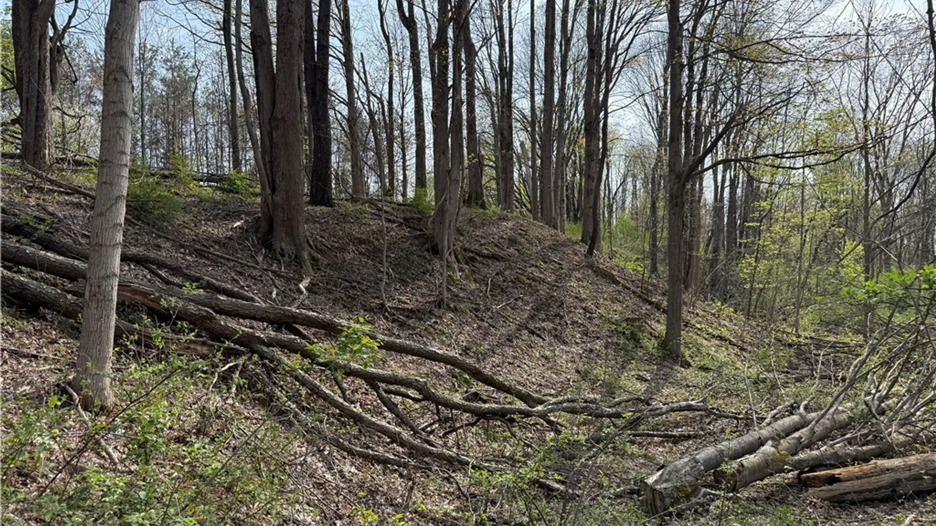 Property at 14245 Collin Ctr Zoar Road, Collins, NY 14034 12