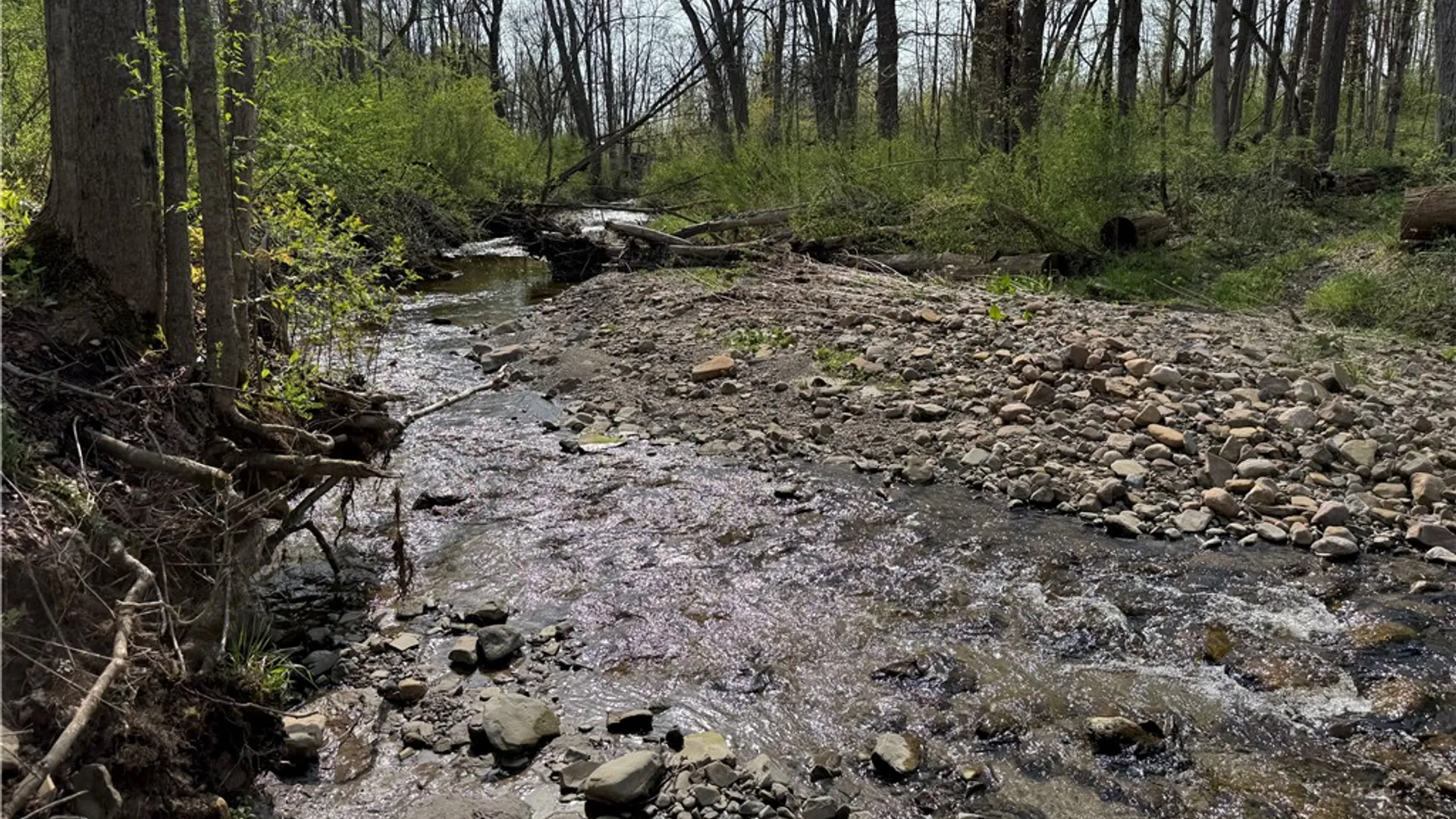 Property at 14245 Collin Ctr Zoar Road, Collins, NY 14034 14