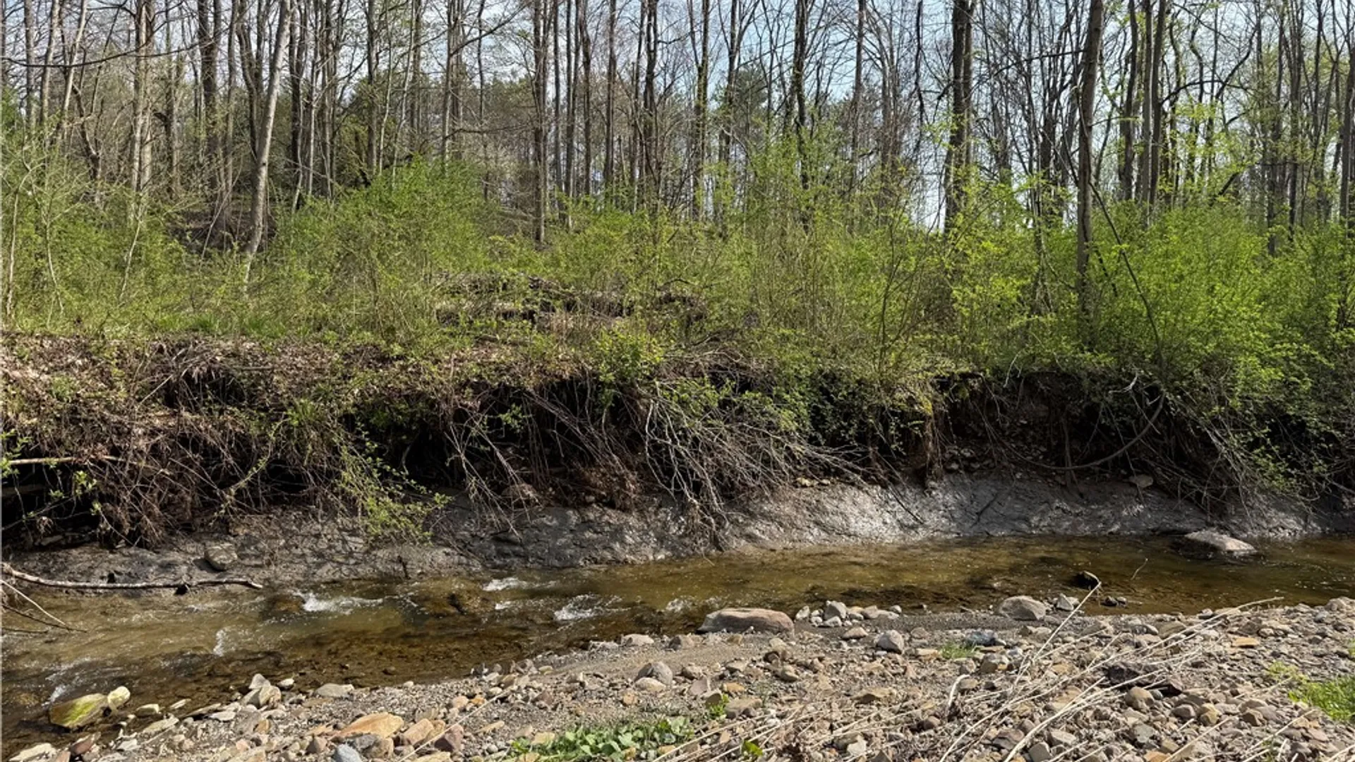 Property at 14245 Collin Ctr Zoar Road, Collins, NY 14034 16