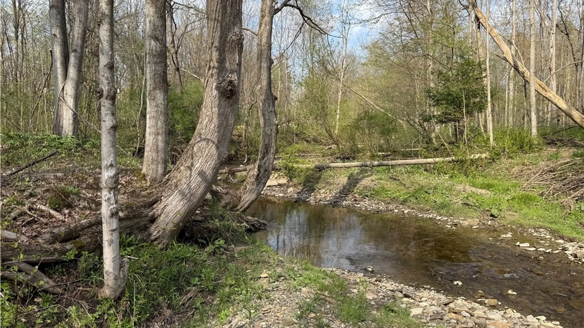 Property at 14245 Collin Ctr Zoar Road, Collins, NY 14034 17