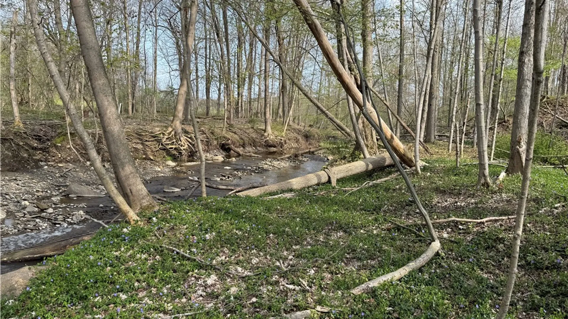 Property at 14245 Collin Ctr Zoar Road, Collins, NY 14034 18