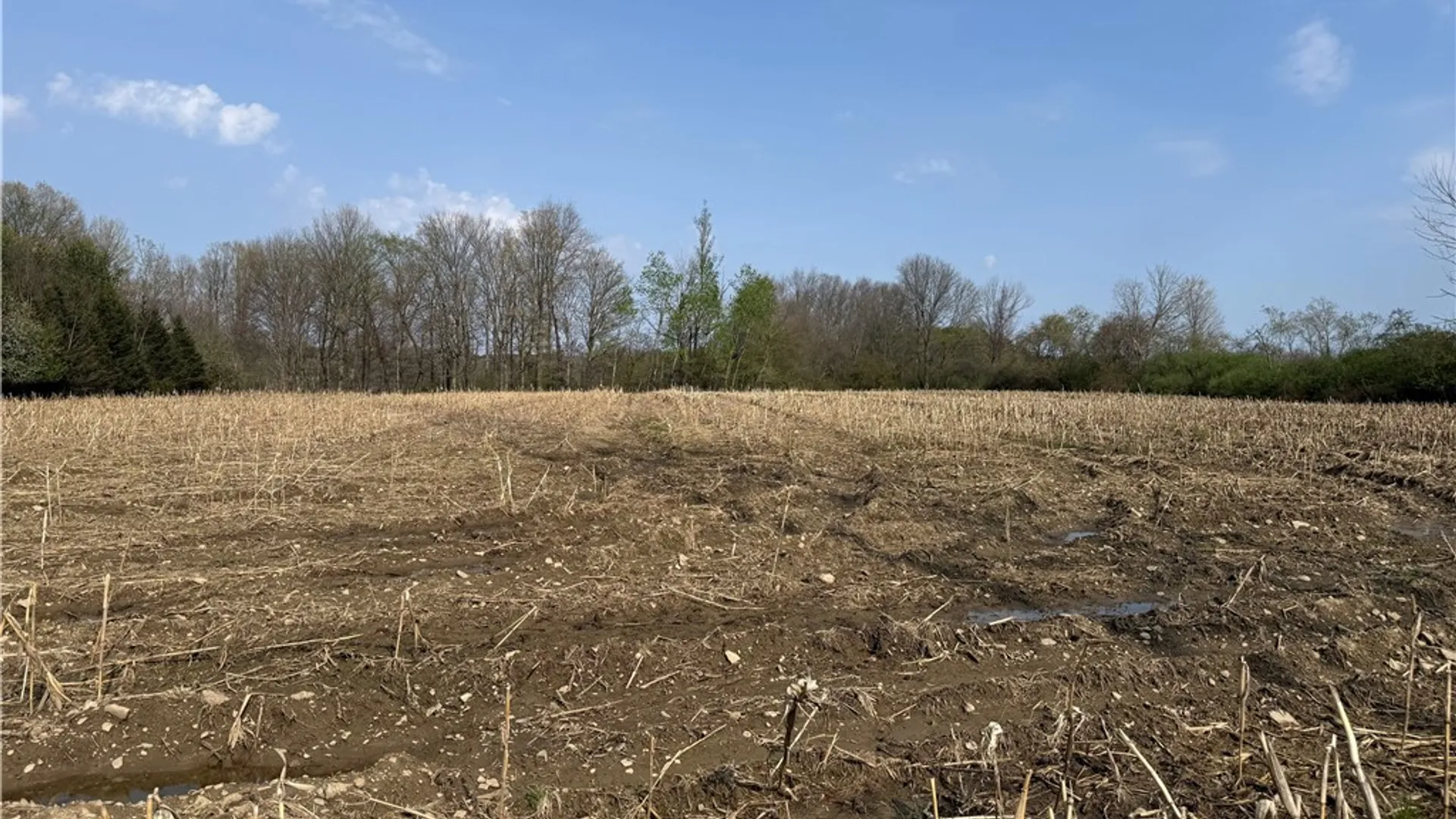 Property at 14245 Collin Ctr Zoar Road, Collins, NY 14034 2