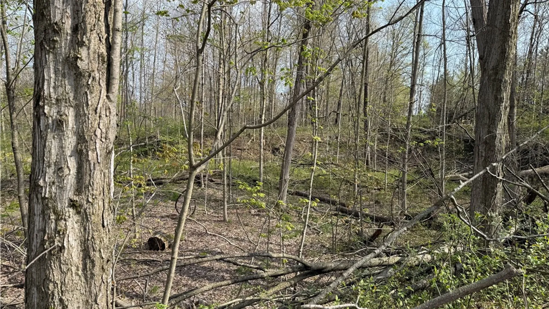 Property at 14245 Collin Ctr Zoar Road, Collins, NY 14034 20