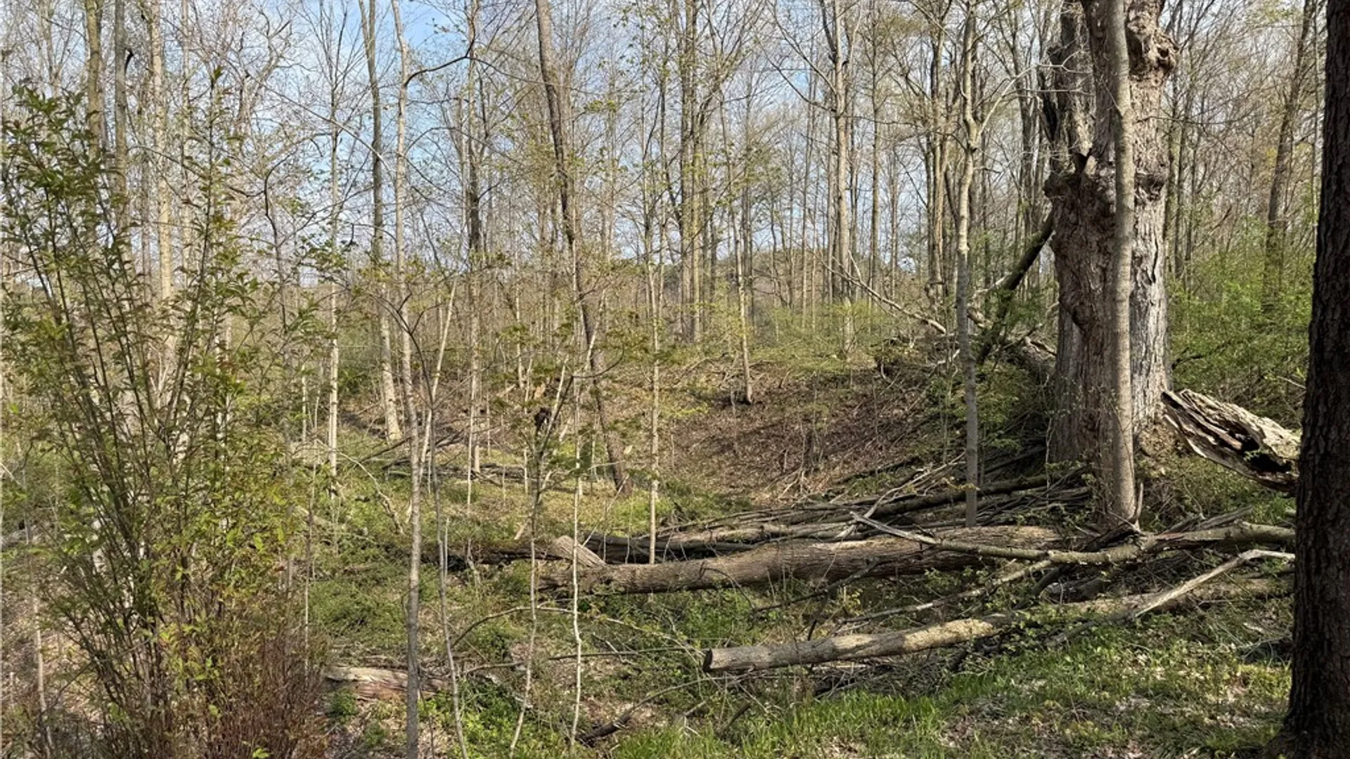 Property at 14245 Collin Ctr Zoar Road, Collins, NY 14034 22