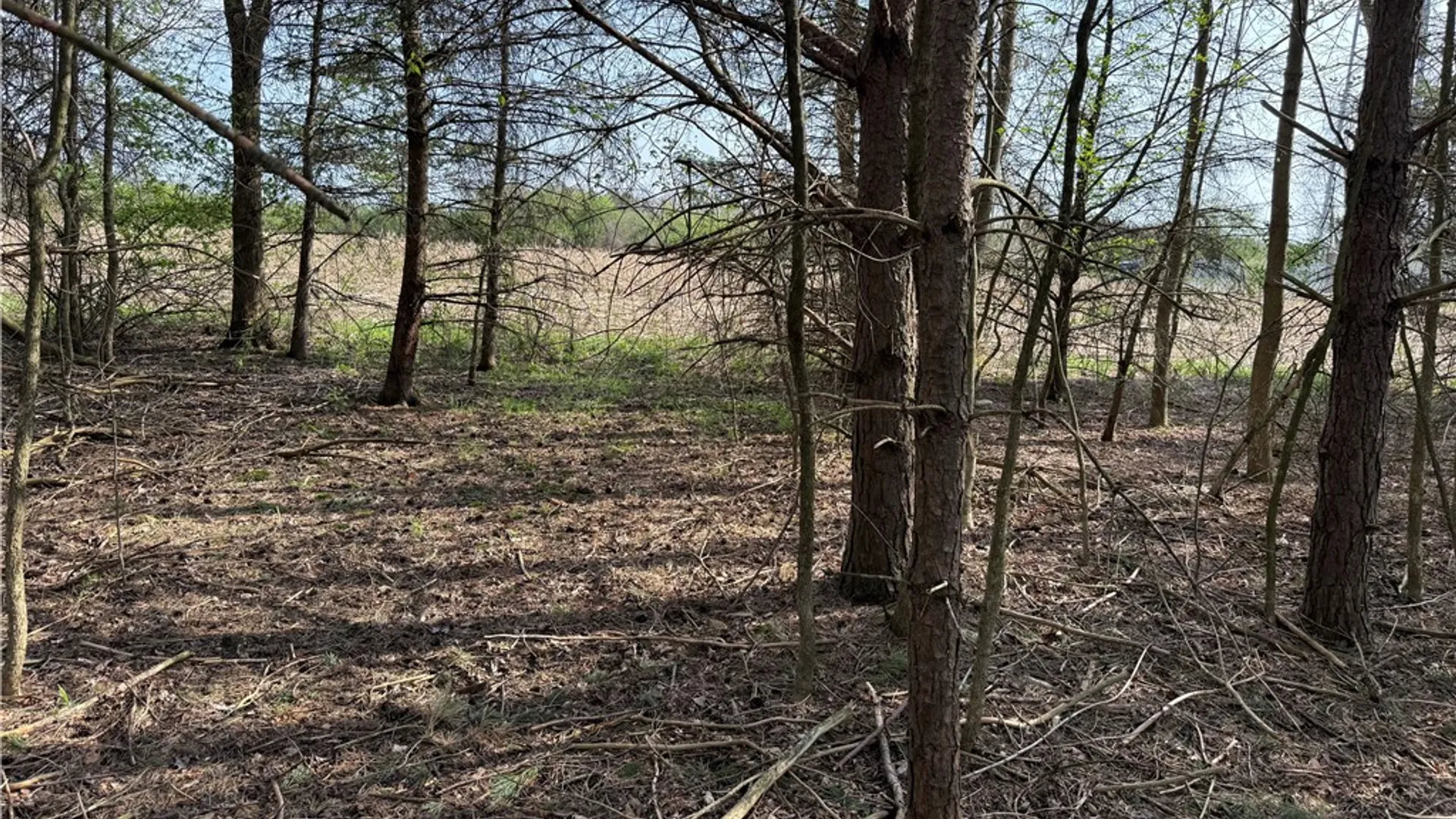 Property at 14245 Collin Ctr Zoar Road, Collins, NY 14034 23