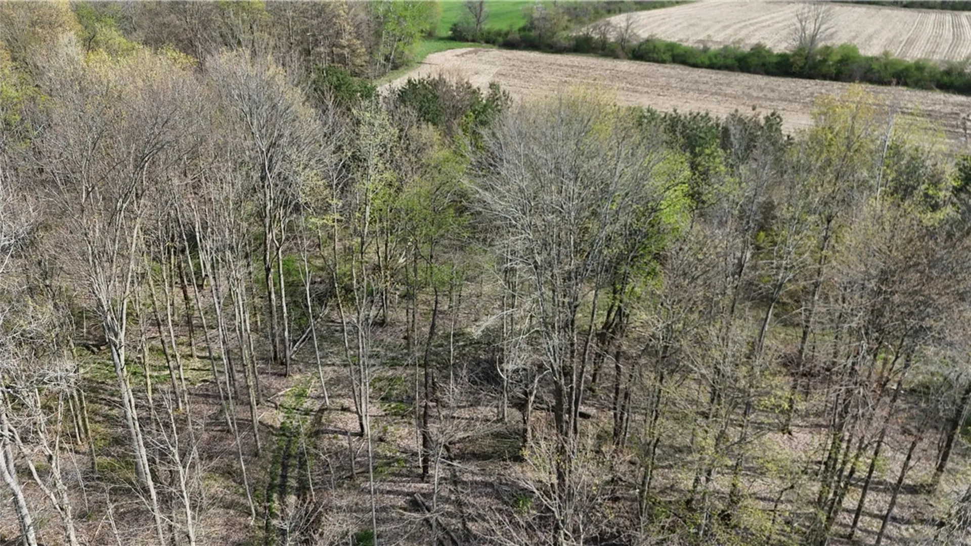 Property at 14245 Collin Ctr Zoar Road, Collins, NY 14034 24