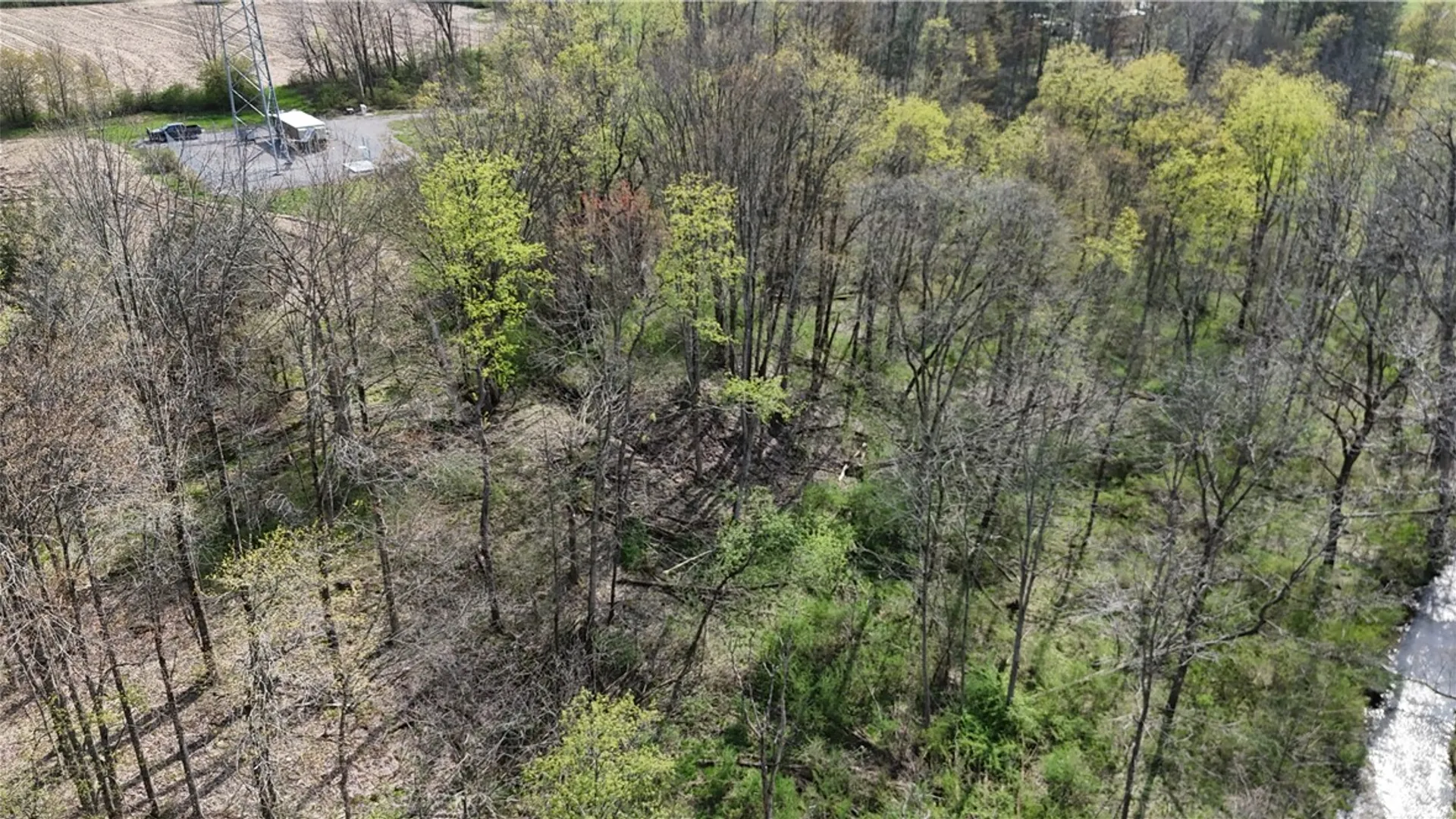 Property at 14245 Collin Ctr Zoar Road, Collins, NY 14034 25